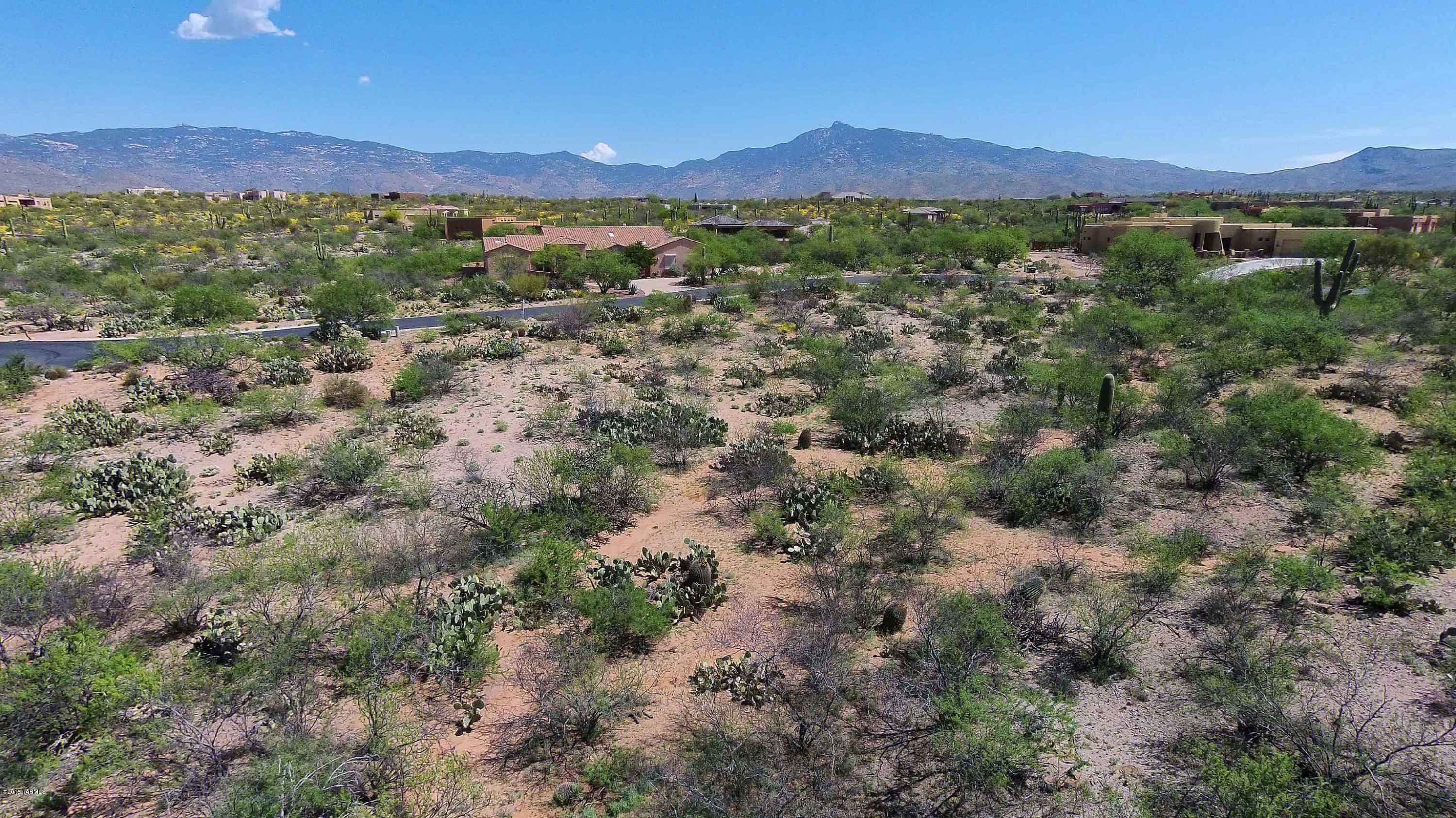 Coyote Creek (1-395) - Land