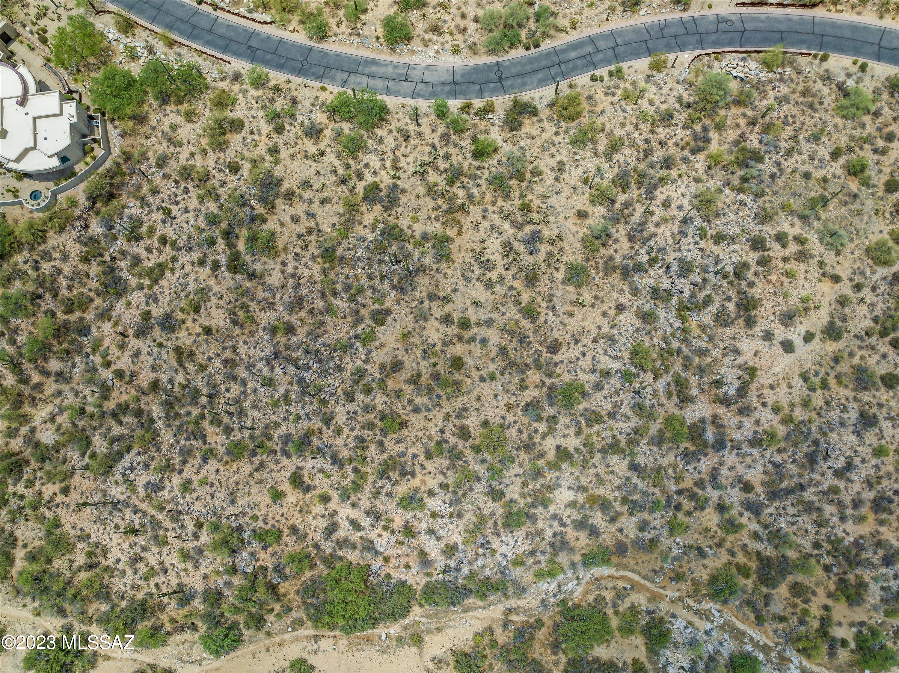 Canyon Pass III At Dove Mountain (111-181) - Land