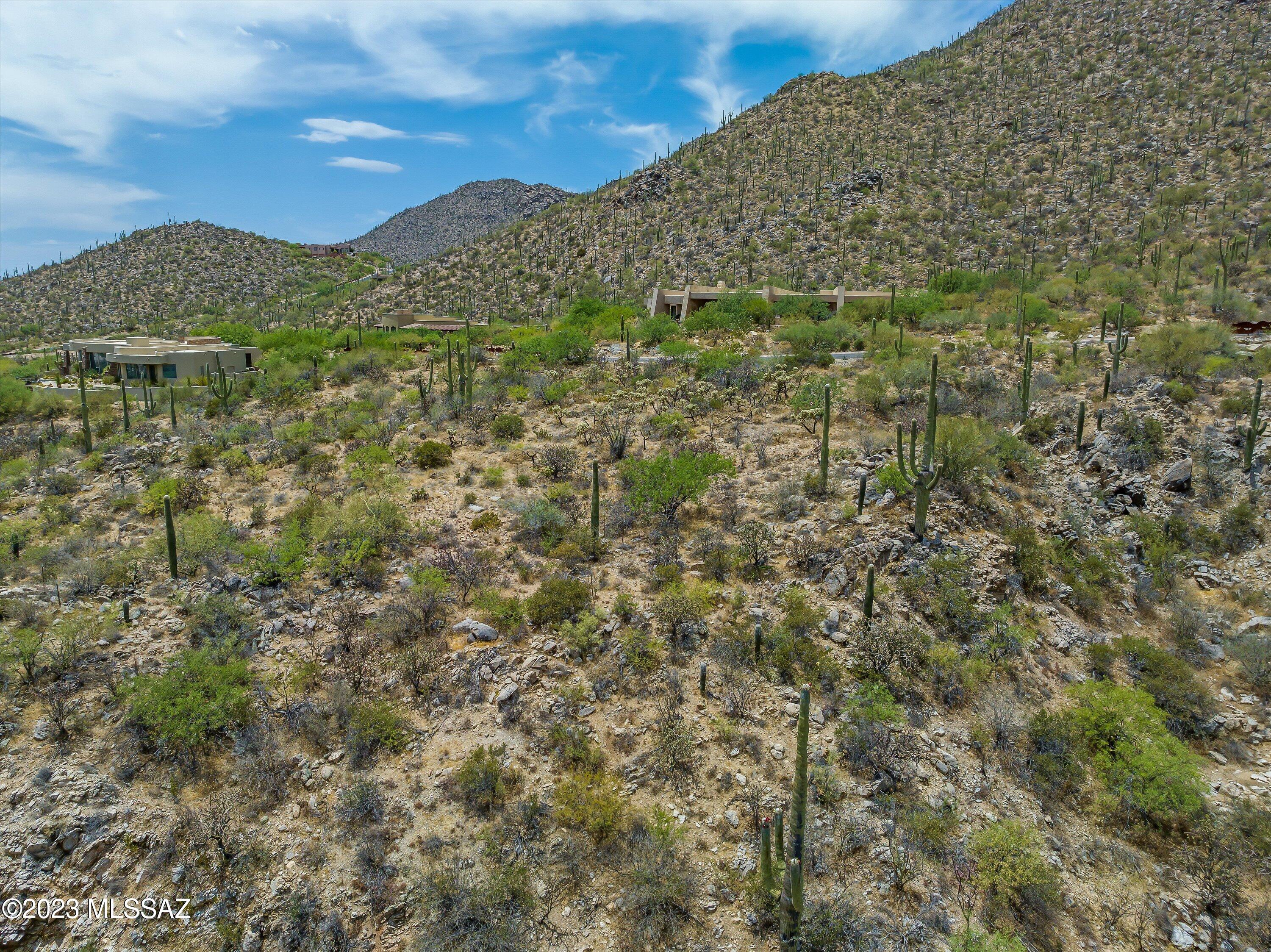 Canyon Pass III At Dove Mountain (111-181) - Land