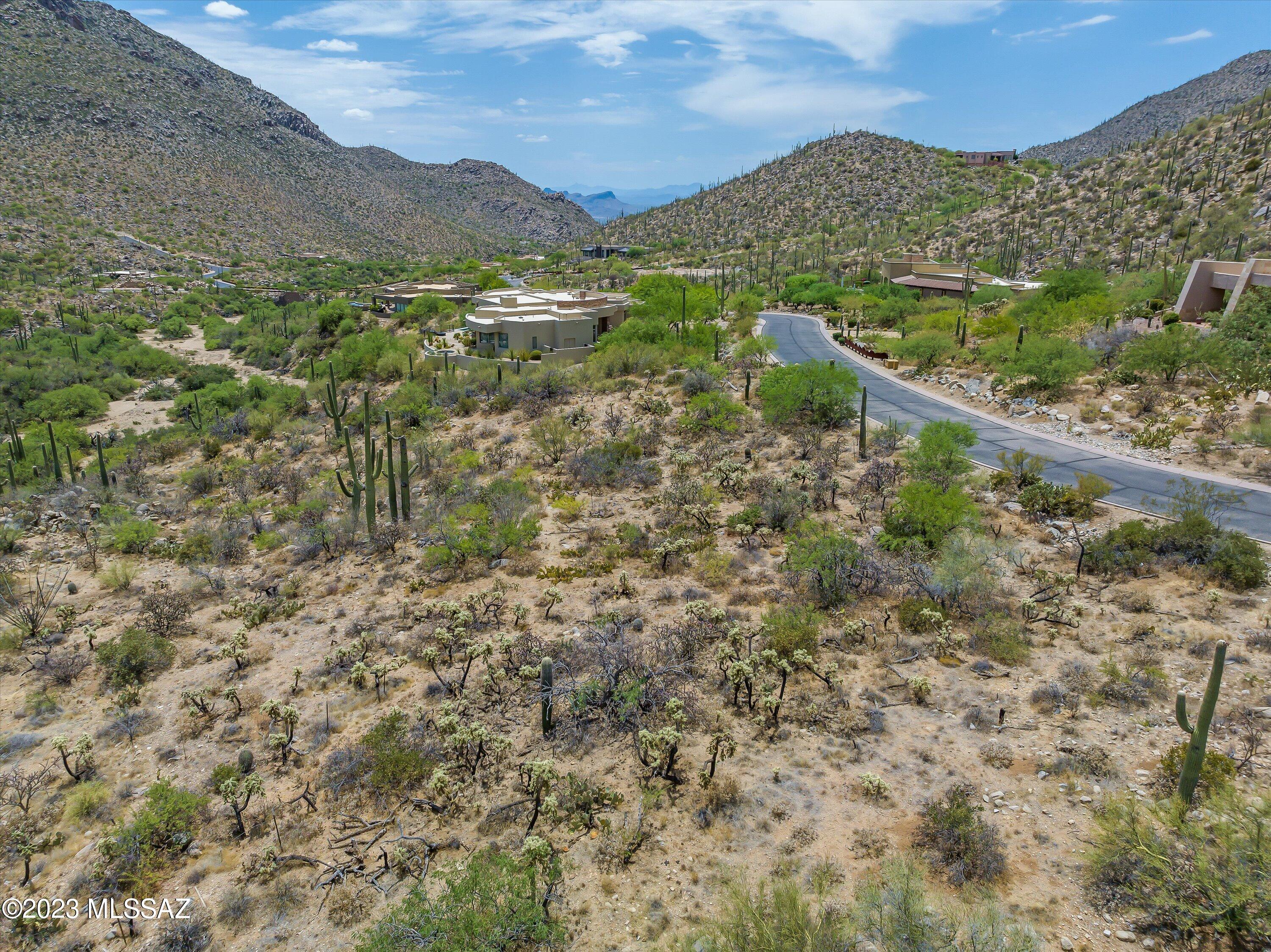 Canyon Pass III At Dove Mountain (111-181) - Land