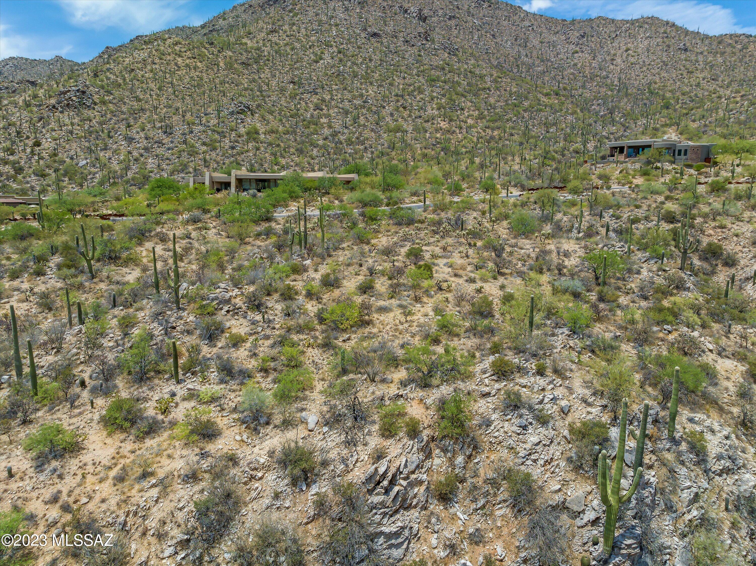 Canyon Pass III At Dove Mountain (111-181) - Land