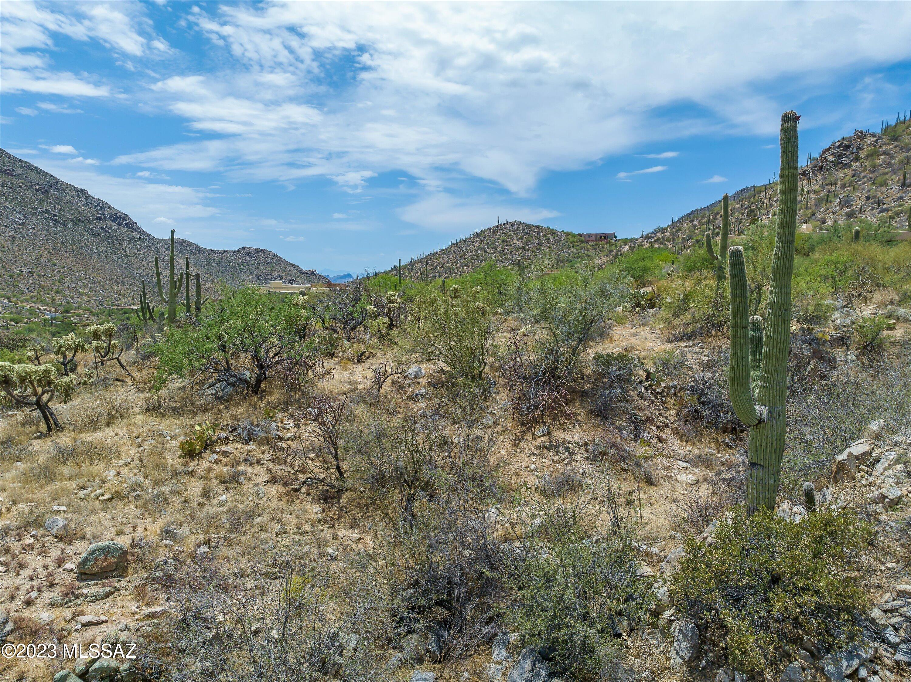 Canyon Pass III At Dove Mountain (111-181) - Land
