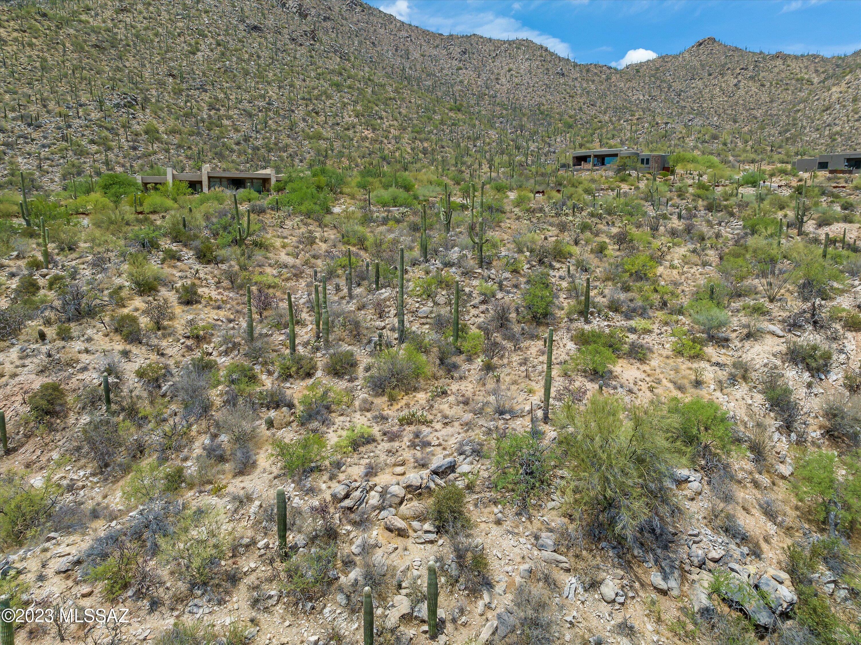Canyon Pass III At Dove Mountain (111-181) - Land