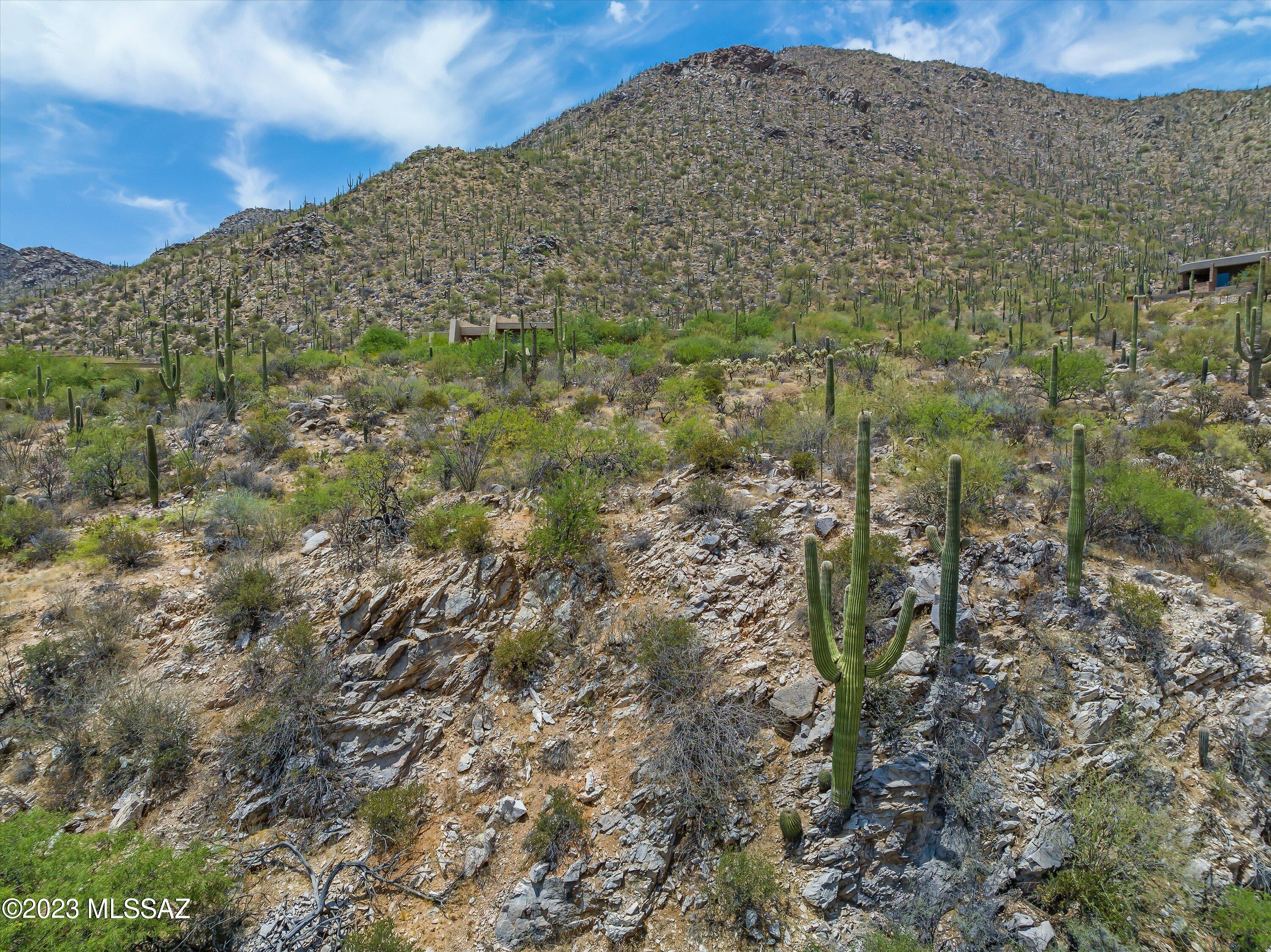 Canyon Pass III At Dove Mountain (111-181) - Land