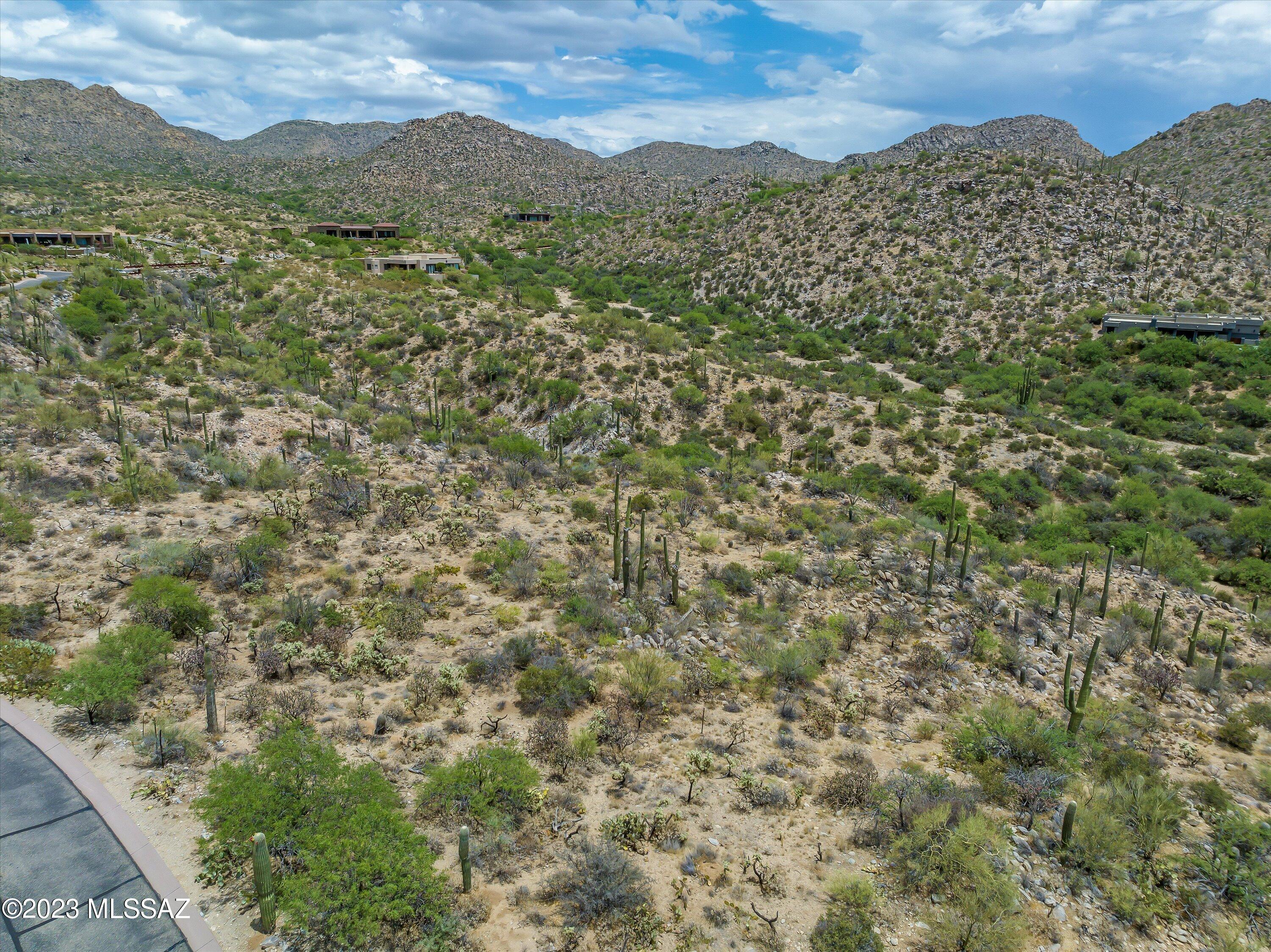 Canyon Pass III At Dove Mountain (111-181) - Land