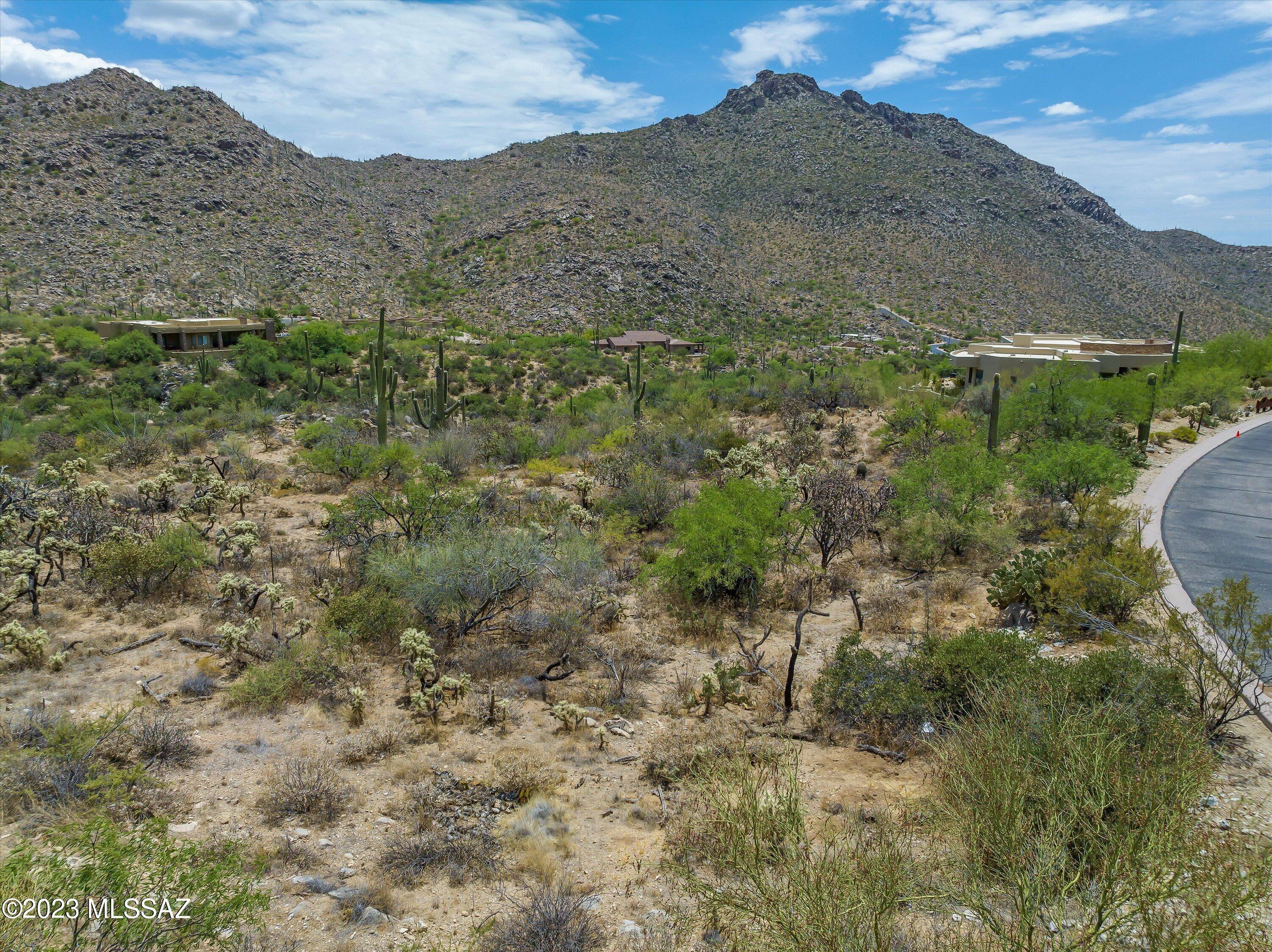 Canyon Pass III At Dove Mountain (111-181) - Land