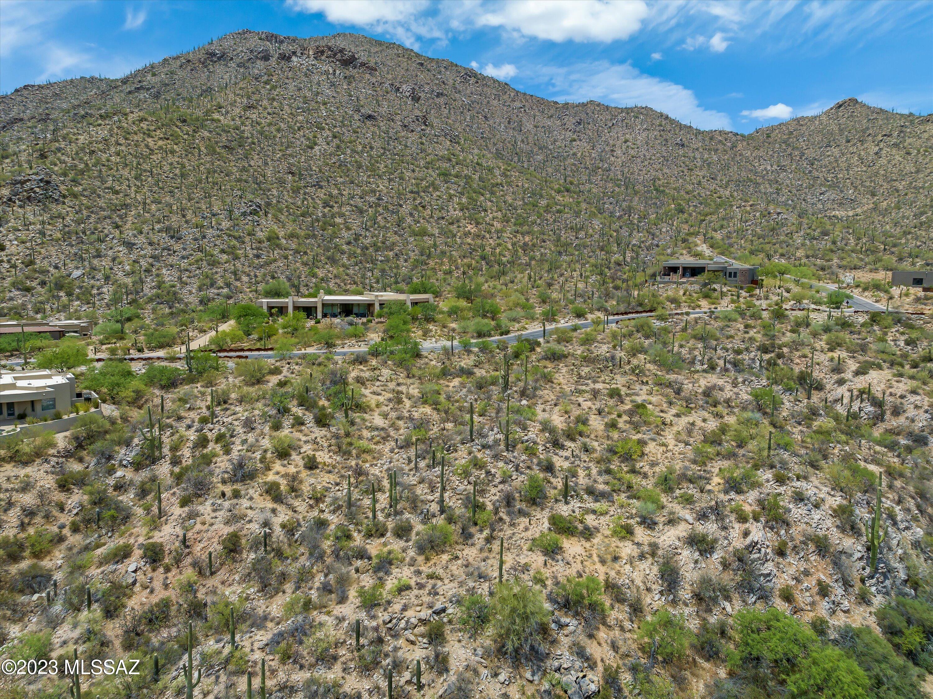 Canyon Pass III At Dove Mountain (111-181) - Land
