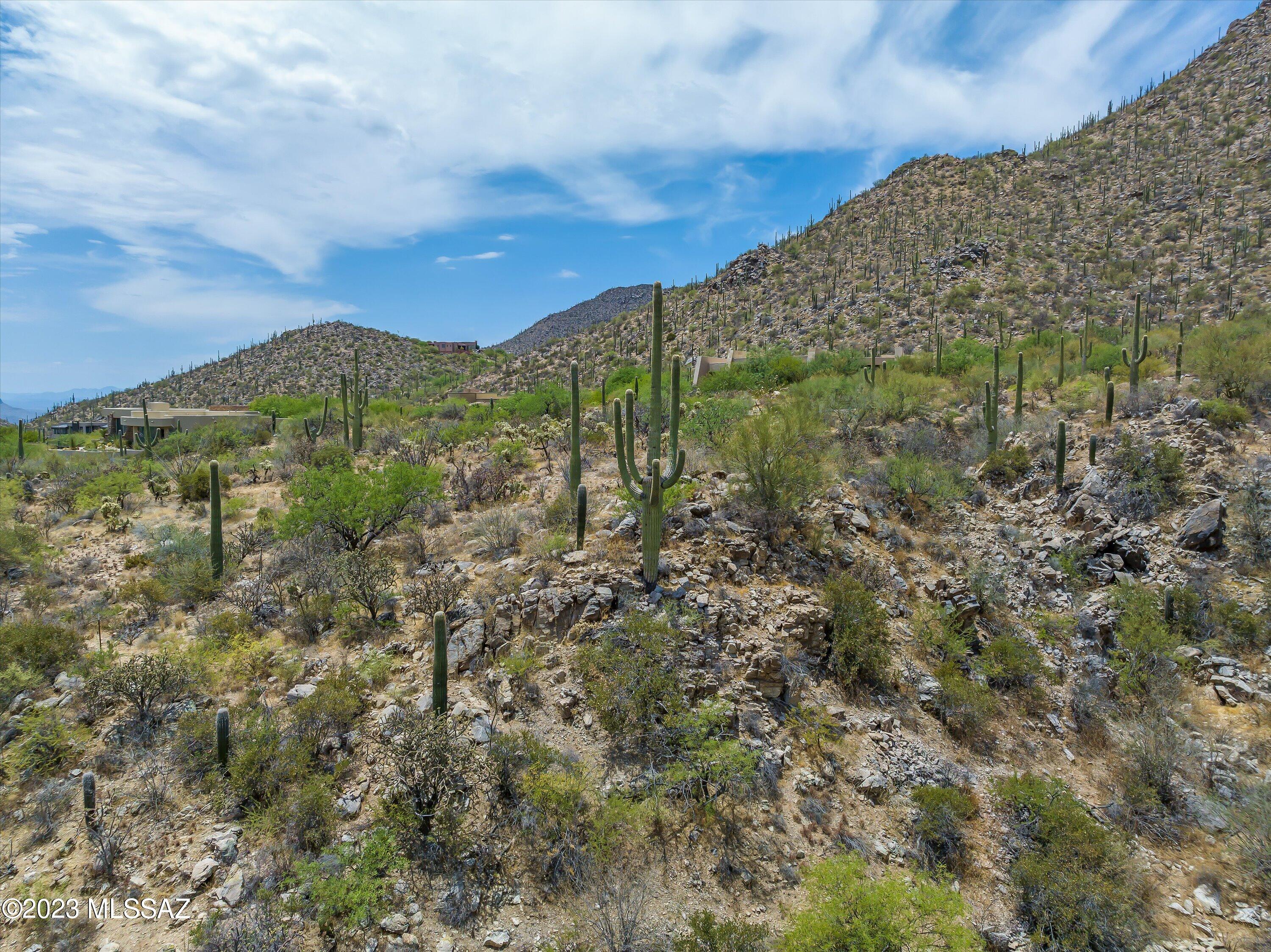 Canyon Pass III At Dove Mountain (111-181) - Land