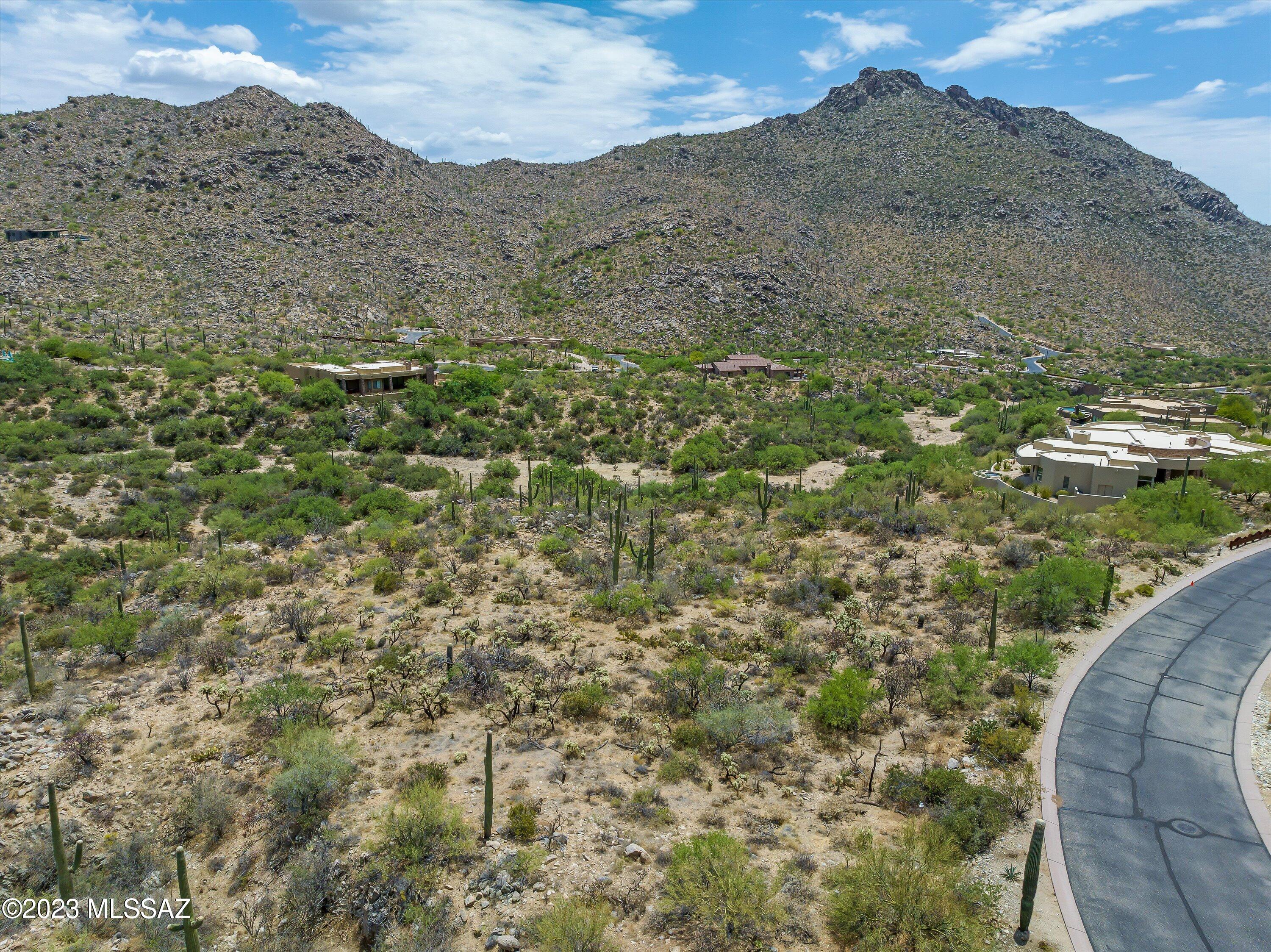 Canyon Pass III At Dove Mountain (111-181) - Land