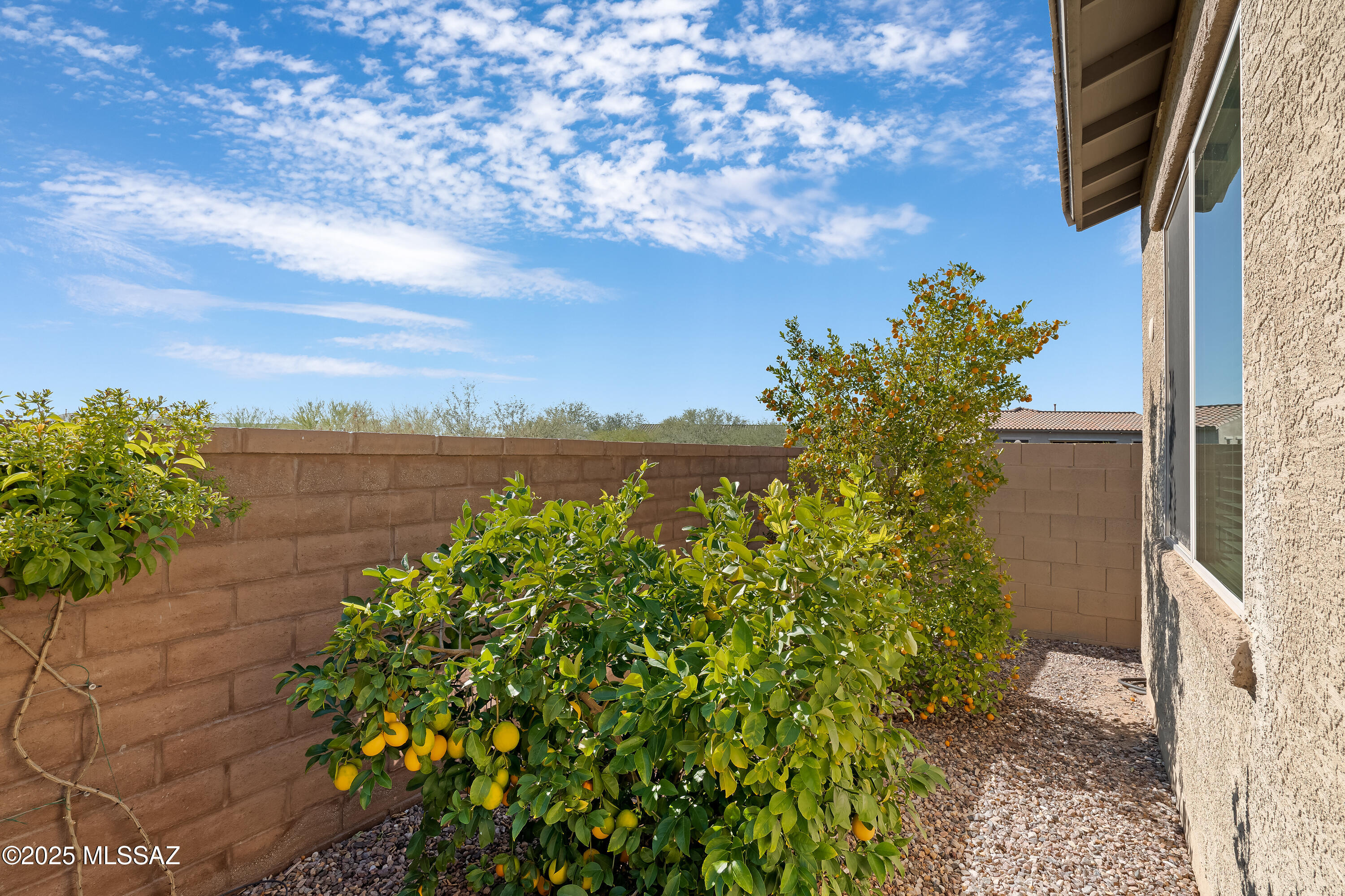 Maracay At Vistoso Block 3 - Residential