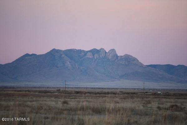 20 Acres in Southeast Arizona near Willcox, AZ. This property is off the power grid but very near two main county roads. This parcel is flat and is currently being grazed. Should be excellent for farming, residential and ranching. Close to Benson, Tombstone and Pearce. Willcox is nationally recognized for its wine grape vineyards and wineries. Enjoy nearby festivals, rodeos, concerts and dances. Near to Coronado national forest and Chiricahua National Monument.