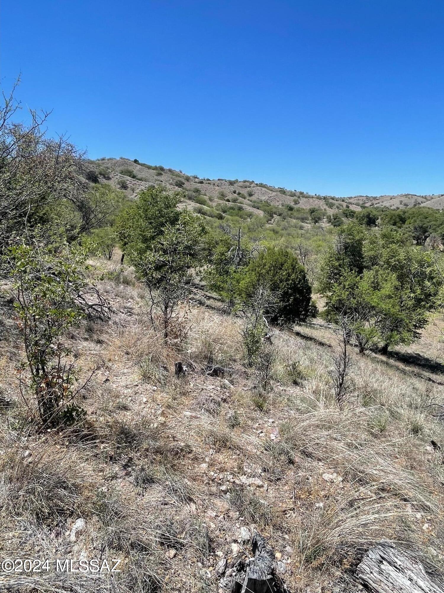 Crown C Ranch - Land