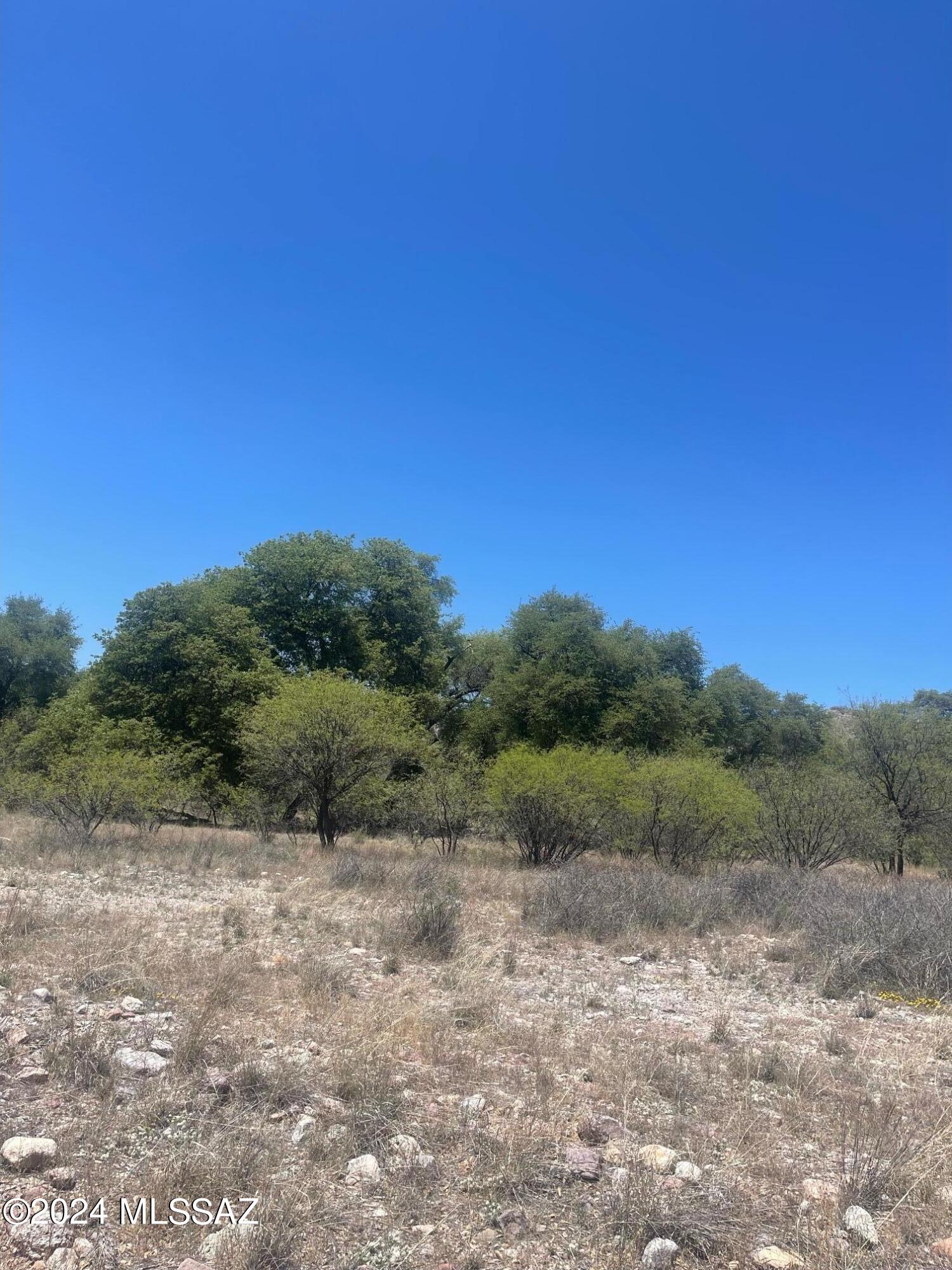 Crown C Ranch - Land