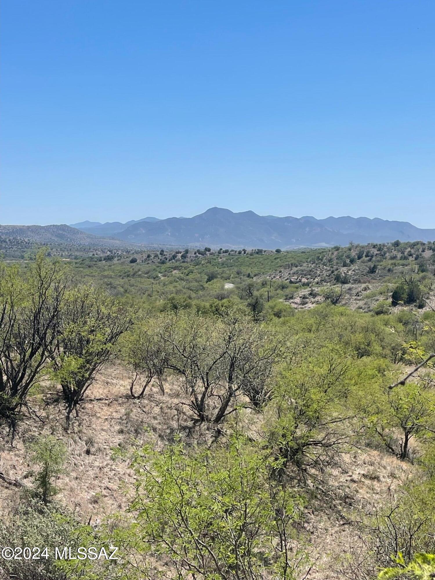 Crown C Ranch - Land