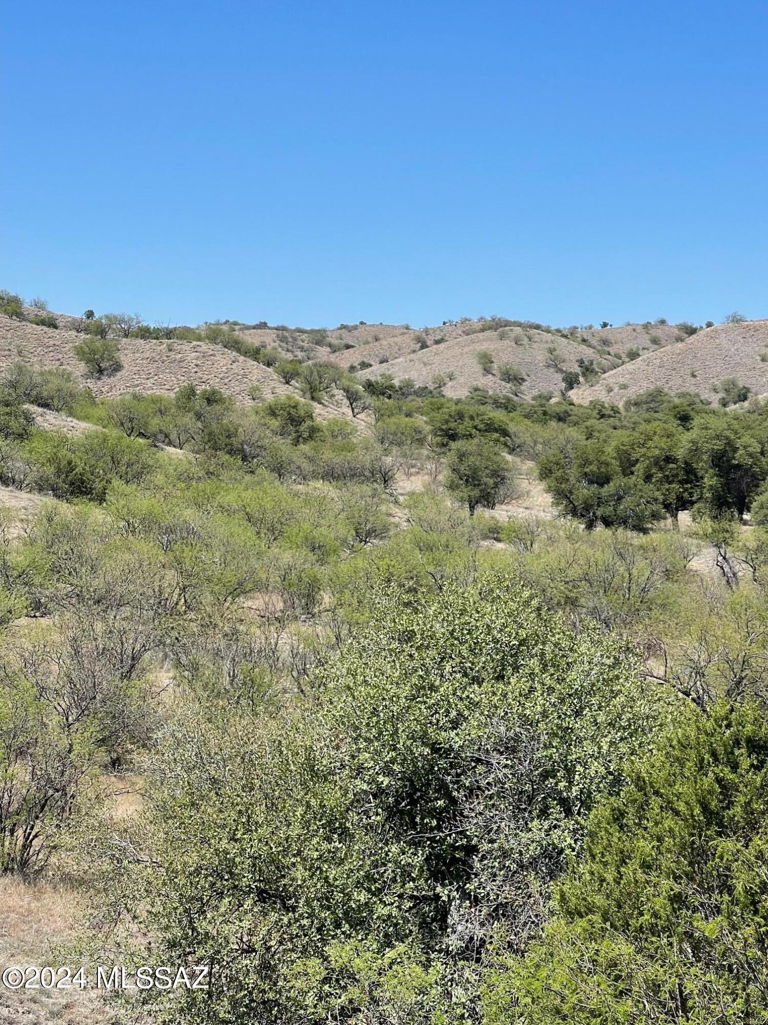 Crown C Ranch - Land