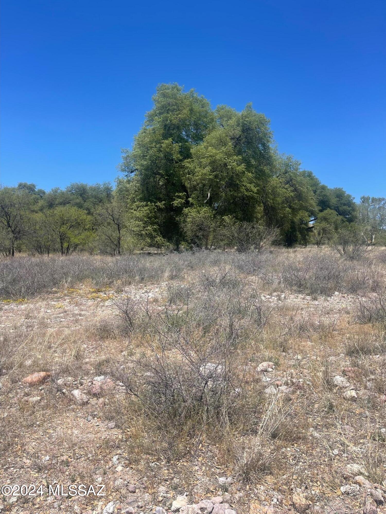 Crown C Ranch - Land