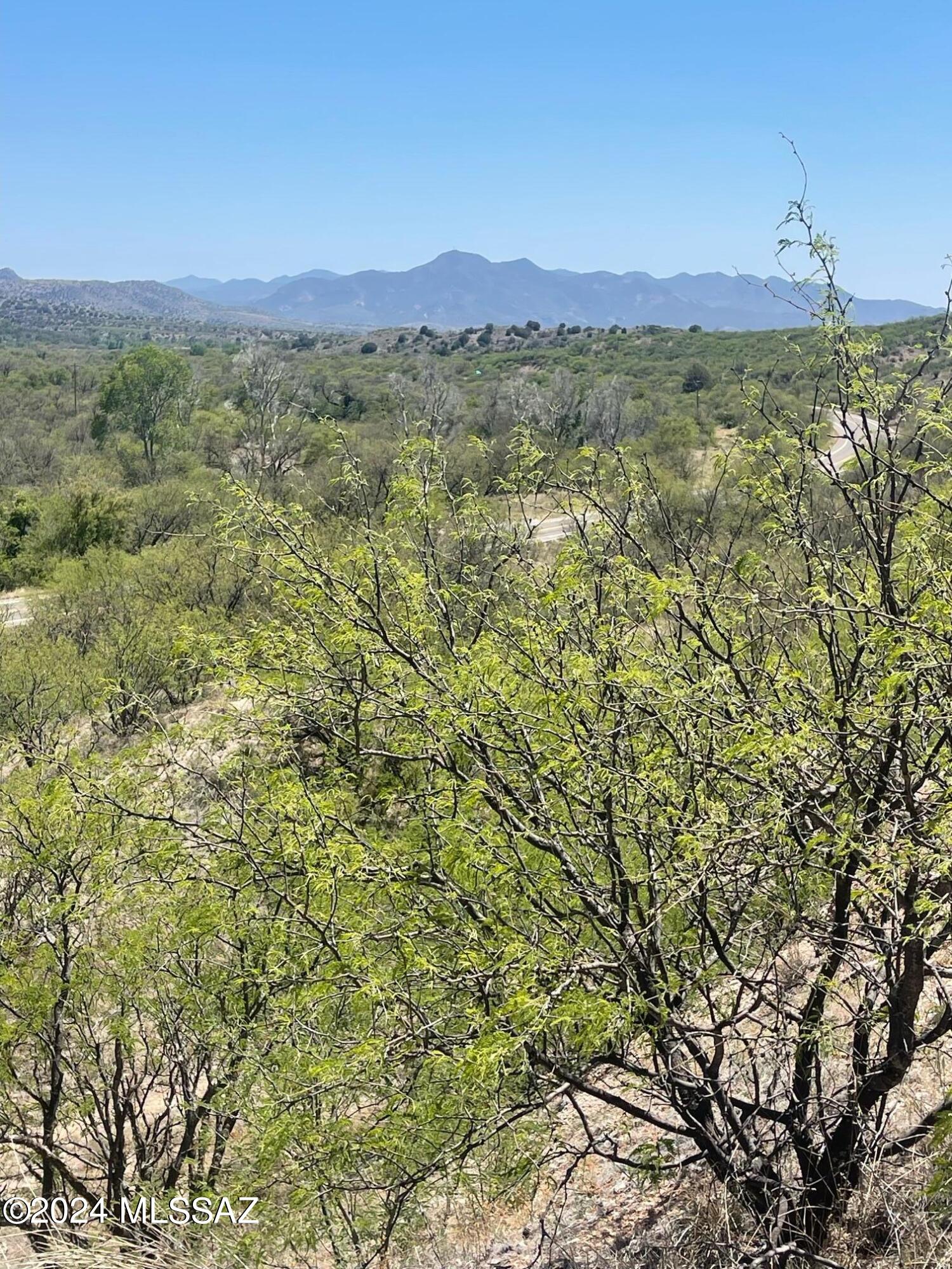 Crown C Ranch - Land
