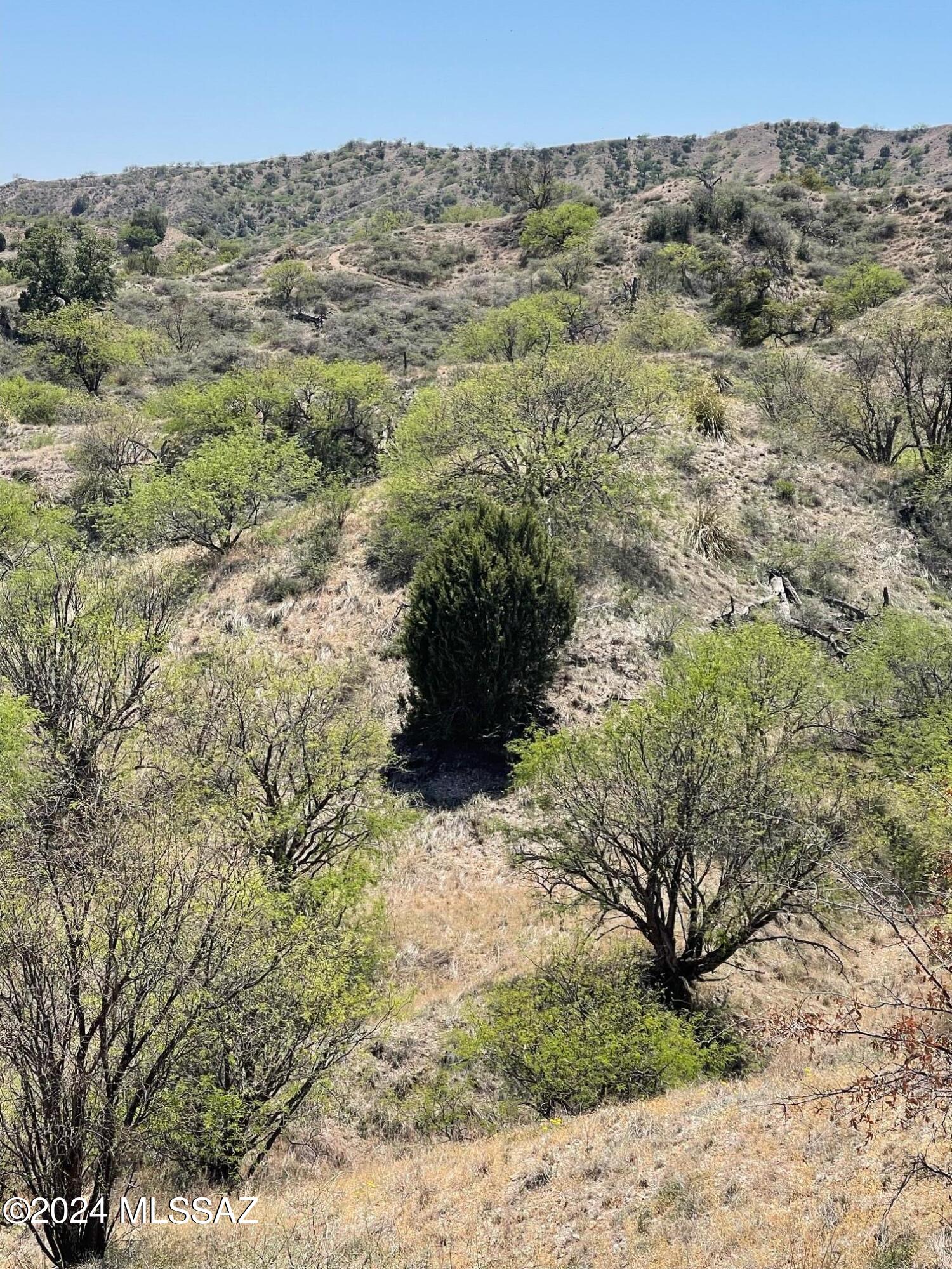 Crown C Ranch - Land