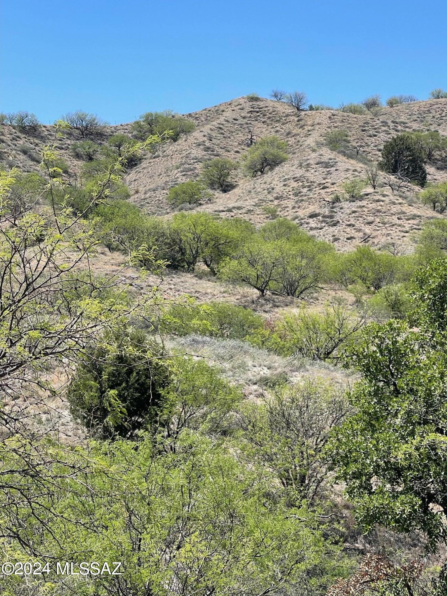 Crown C Ranch - Land