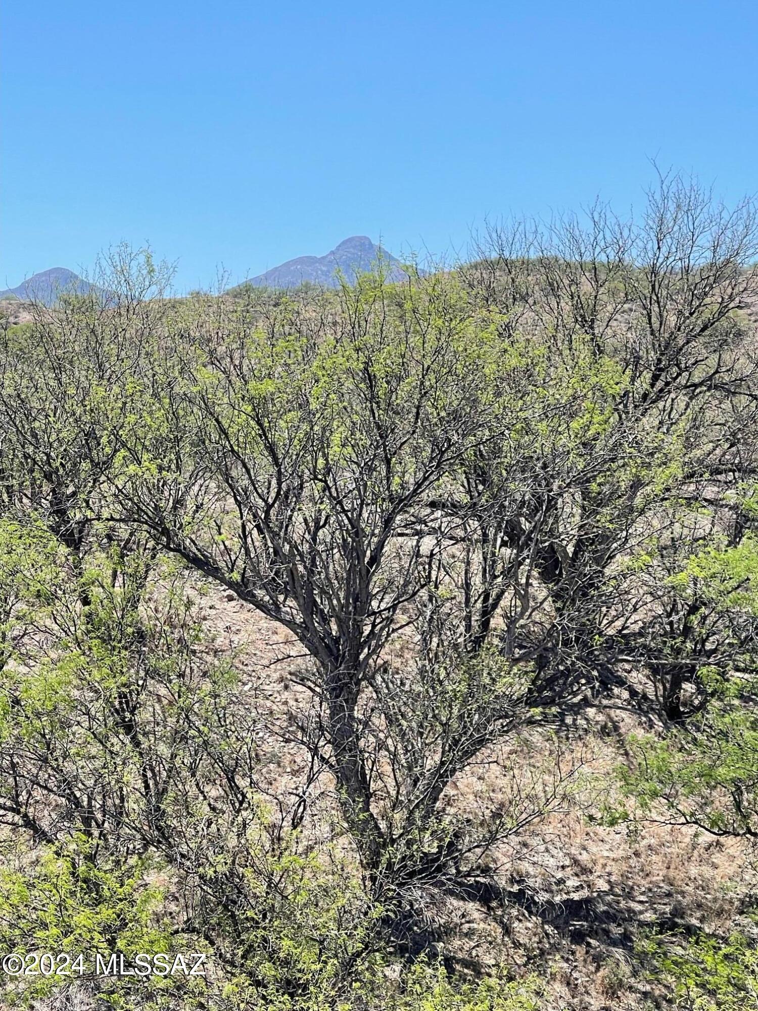 Crown C Ranch - Land