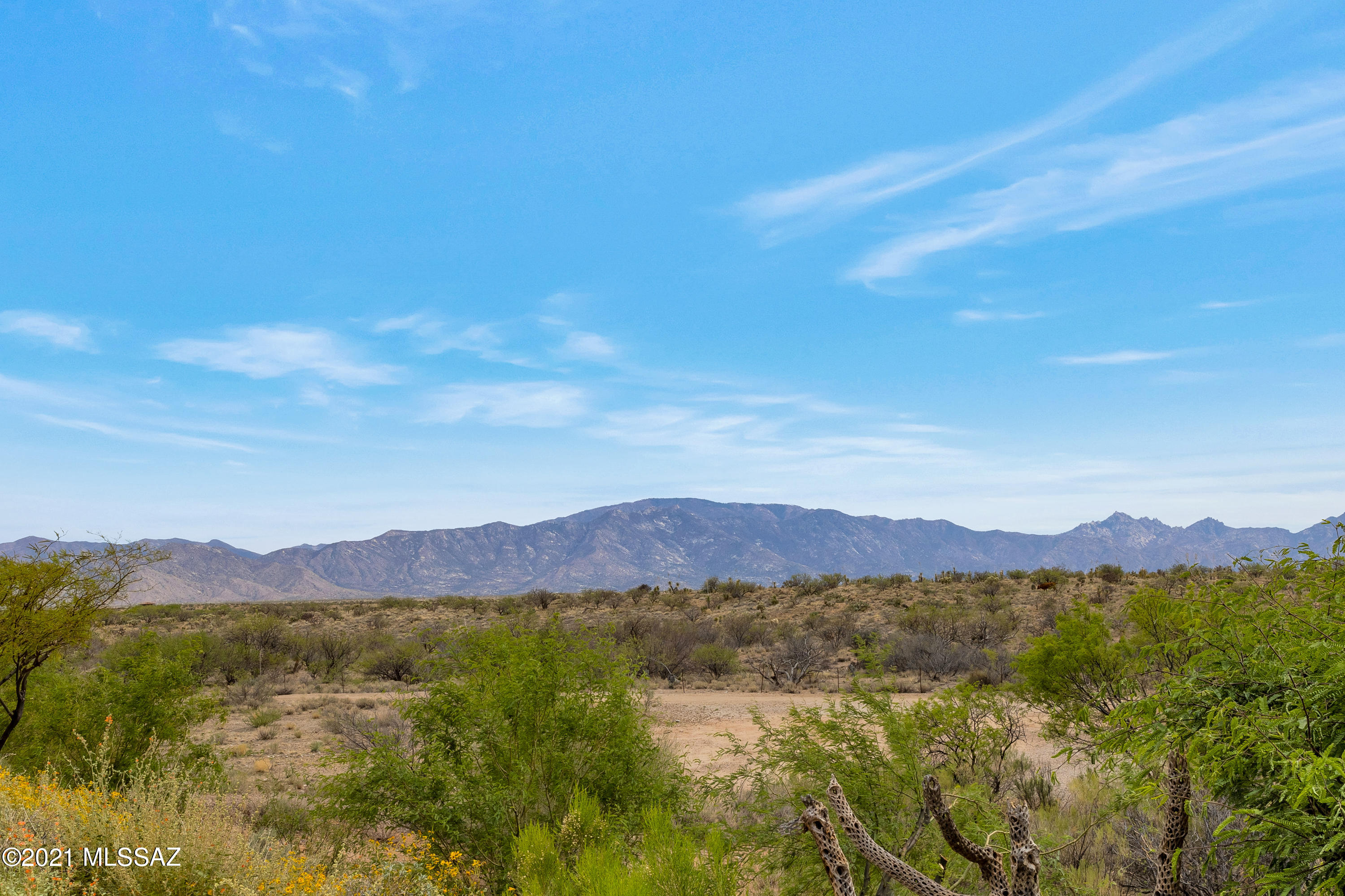 Saddlebrooke Ranch - Residential