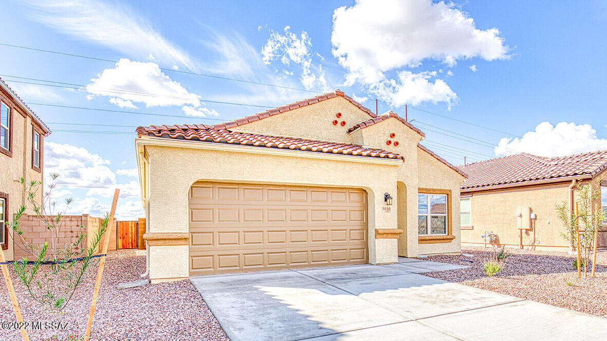Saguaro Bloom SQ20180540069 - Residential