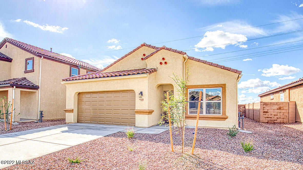 Saguaro Bloom SQ20180540069 - Residential