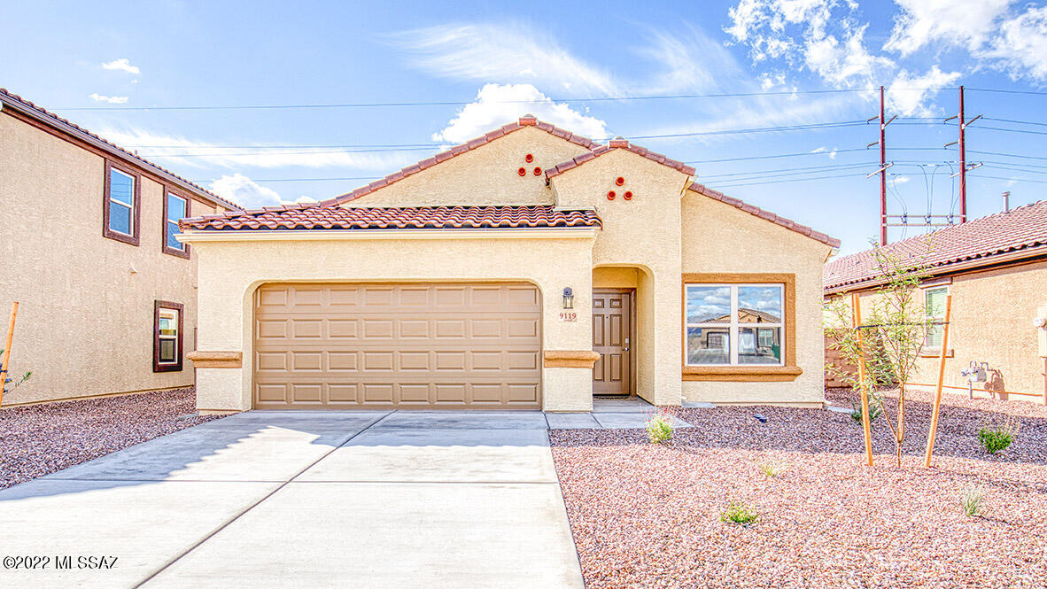 Saguaro Bloom SQ20180540069 - Residential