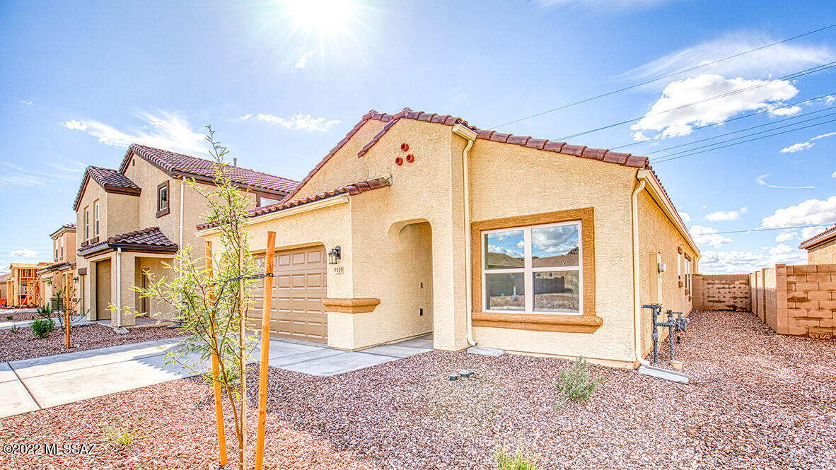 Saguaro Bloom SQ20180540069 - Residential