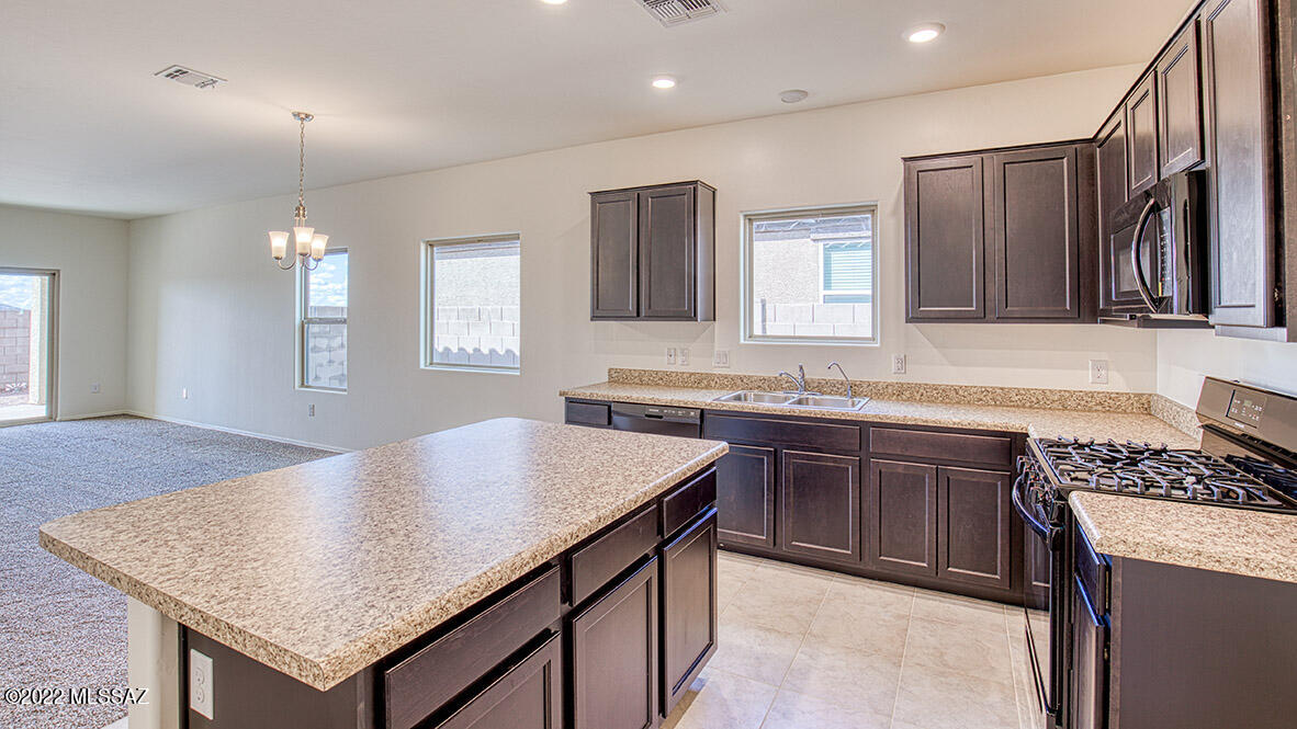 Saguaro Bloom SQ20180540069 - Residential