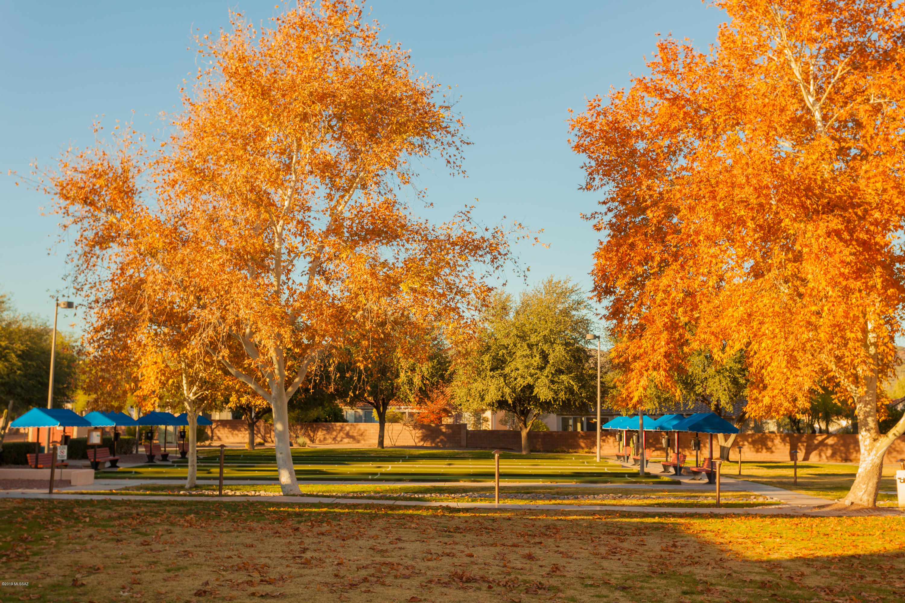 Continental Ranch Sunflower Phase V (557-729) - Residential