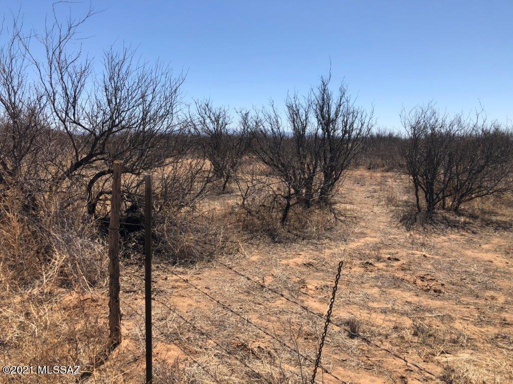 Chiracahua Trail Ranches - Land