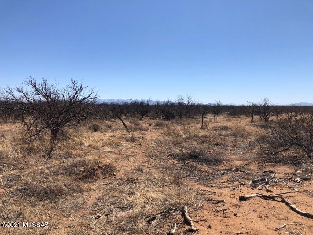 Chiracahua Trail Ranches - Land