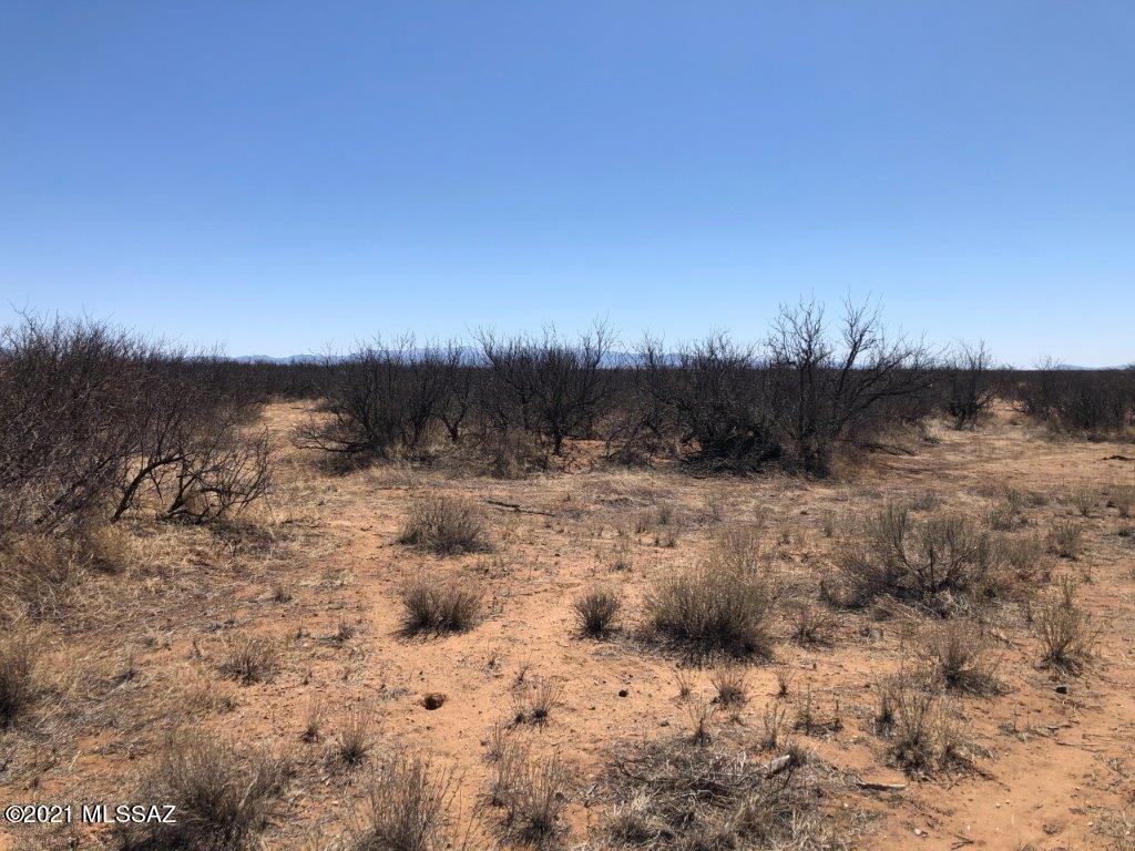 Chiracahua Trail Ranches - Land