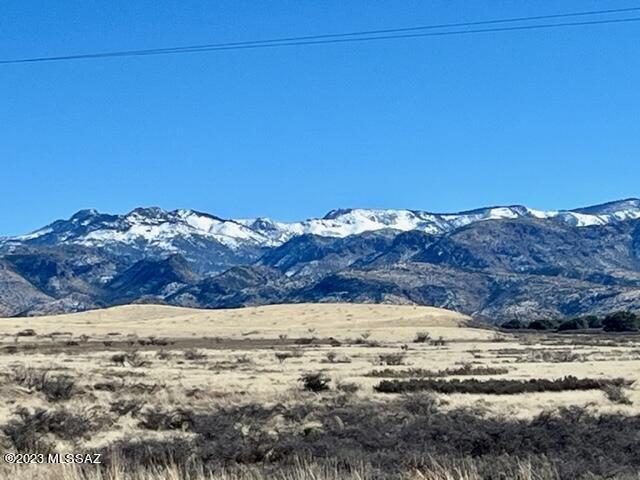 Spectacularly scenic 24AC, dividable and private parcel ADJOINING the Chiricahua National Monument along its eastern boundary and situated at 5200' elevation!  Water line is installed to SW corner of parcel. Recorded well agreement. Electric is approx 750' west of this parcel. Enjoy the 360 degree views of the Chiricahua's, Dos Cabezas, and Cochise Stronghold.  This area, AKA the ''Wonderland of Rocks'', offers so many recreational opportunities.  Build your dream home and enjoy this private retreat while having premier access to birding, hiking, horseback riding and camping.  Travel a short distance to local vineyards/wineries, Willcox (approx 30 min), Apple Annies, and so much more.  Soak in the sites and history of this unique area. When you walk this parcel, prepare to fall in love!