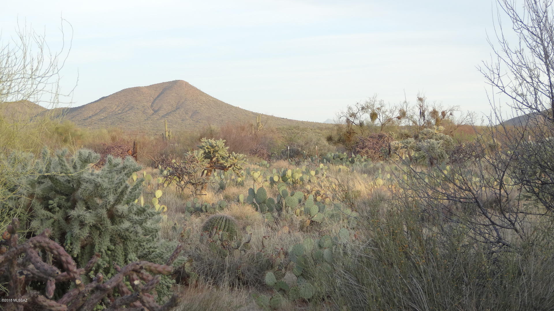 Rincon Valley Estates (1-15) - Land