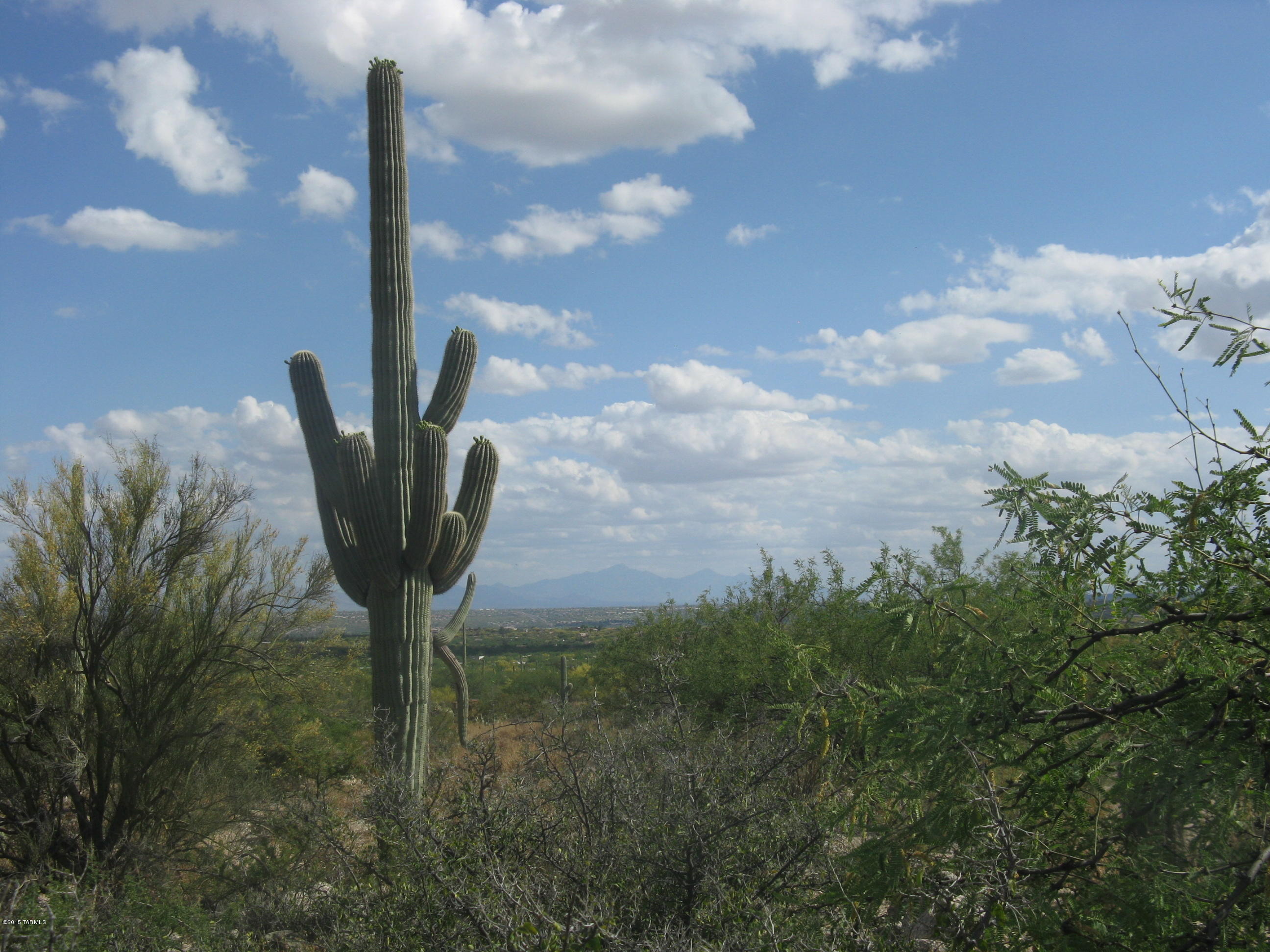 Fetzer Ranch (1-60) - Land
