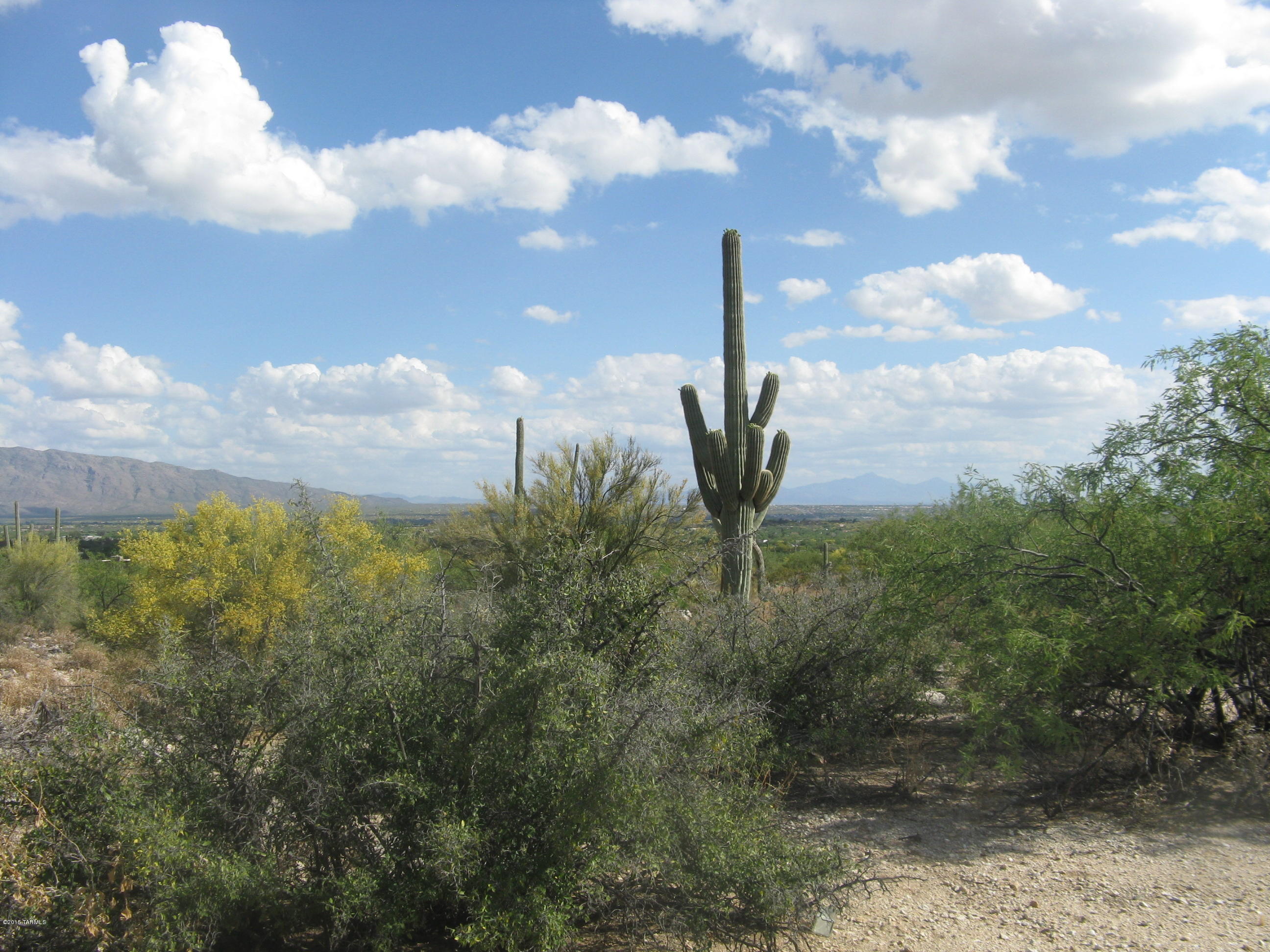 Take your pick - easy building topography with magnificent Tanque Verde Valley views OR build on eastern, higher side for KILLER views of all of Tucson… all the way to Green Valley!  Located in a quiet, private cul-de-sac in Saguaro Hills, the PREMIER custom home gated community in the Tanque Verde Valley.  STUNNING views north to the sprawling Santa Catalina Mtns.  Saguaros and barrels and palo verdes and mesquites…this 3.3 acres is home to an ABUNDANCY of FLORA AND FAUNA.  Seller wants to sell SOONER rather than LATER!
