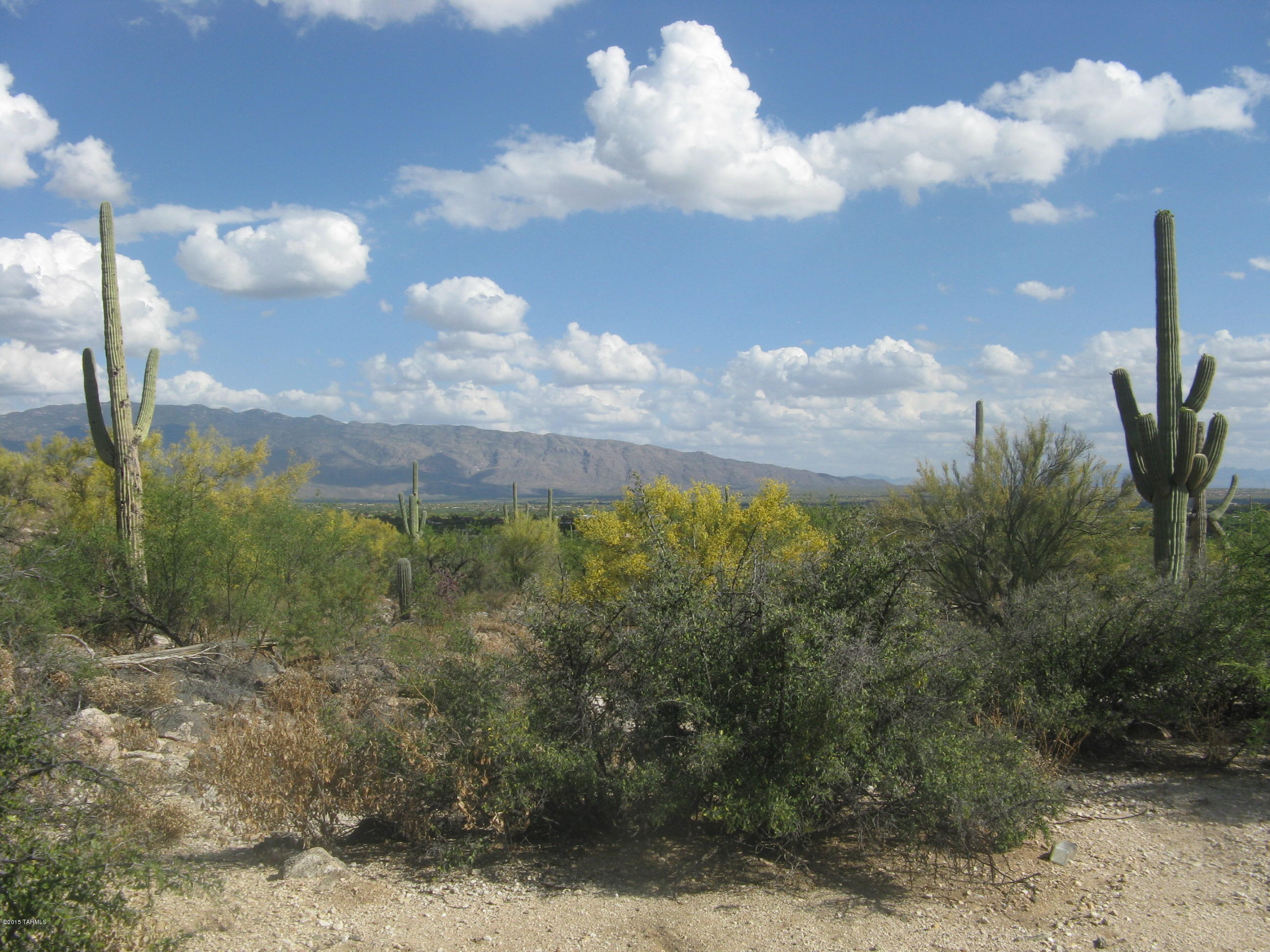 Fetzer Ranch (1-60) - Land
