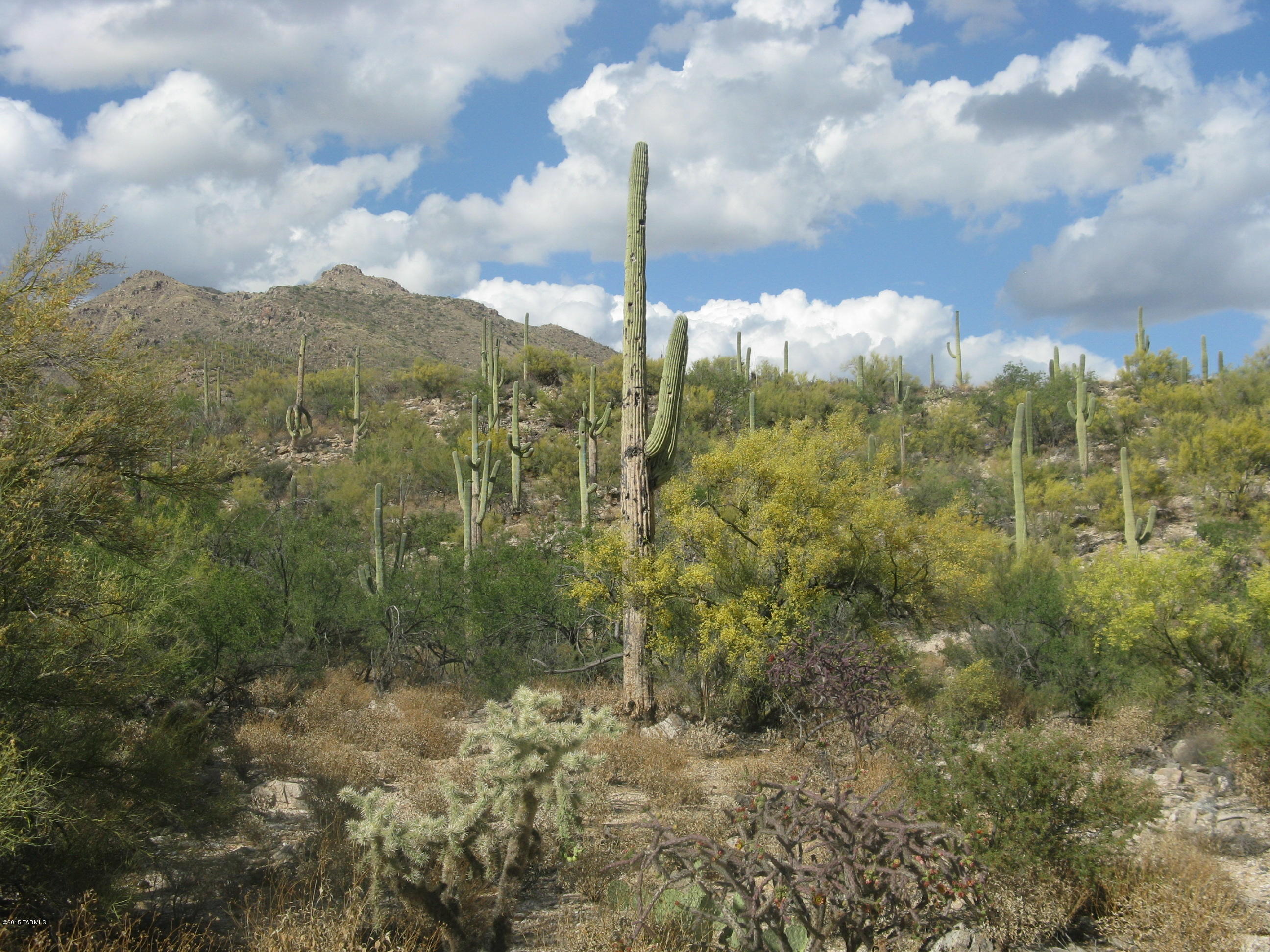 Fetzer Ranch (1-60) - Land