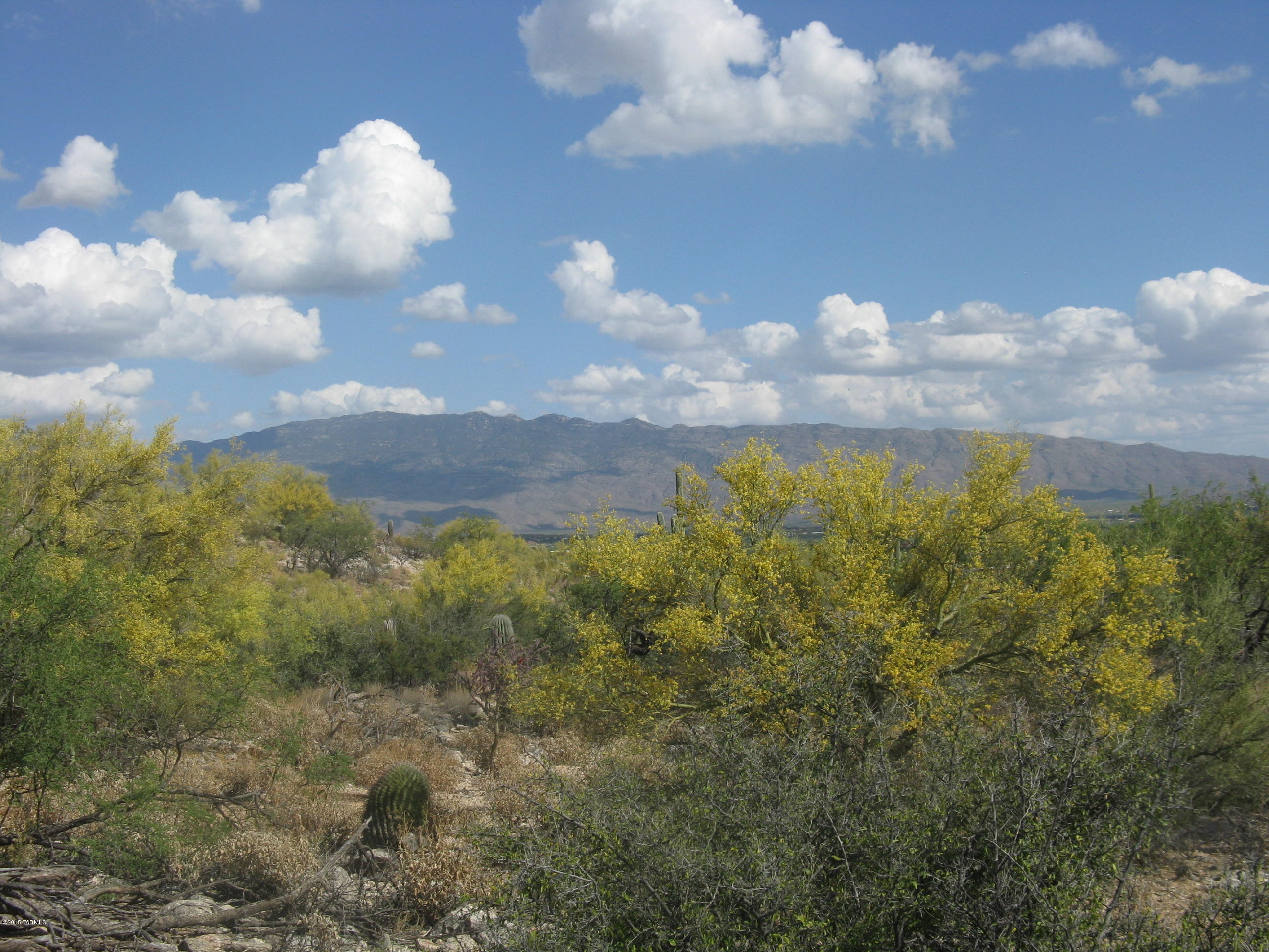 Fetzer Ranch (1-60) - Land