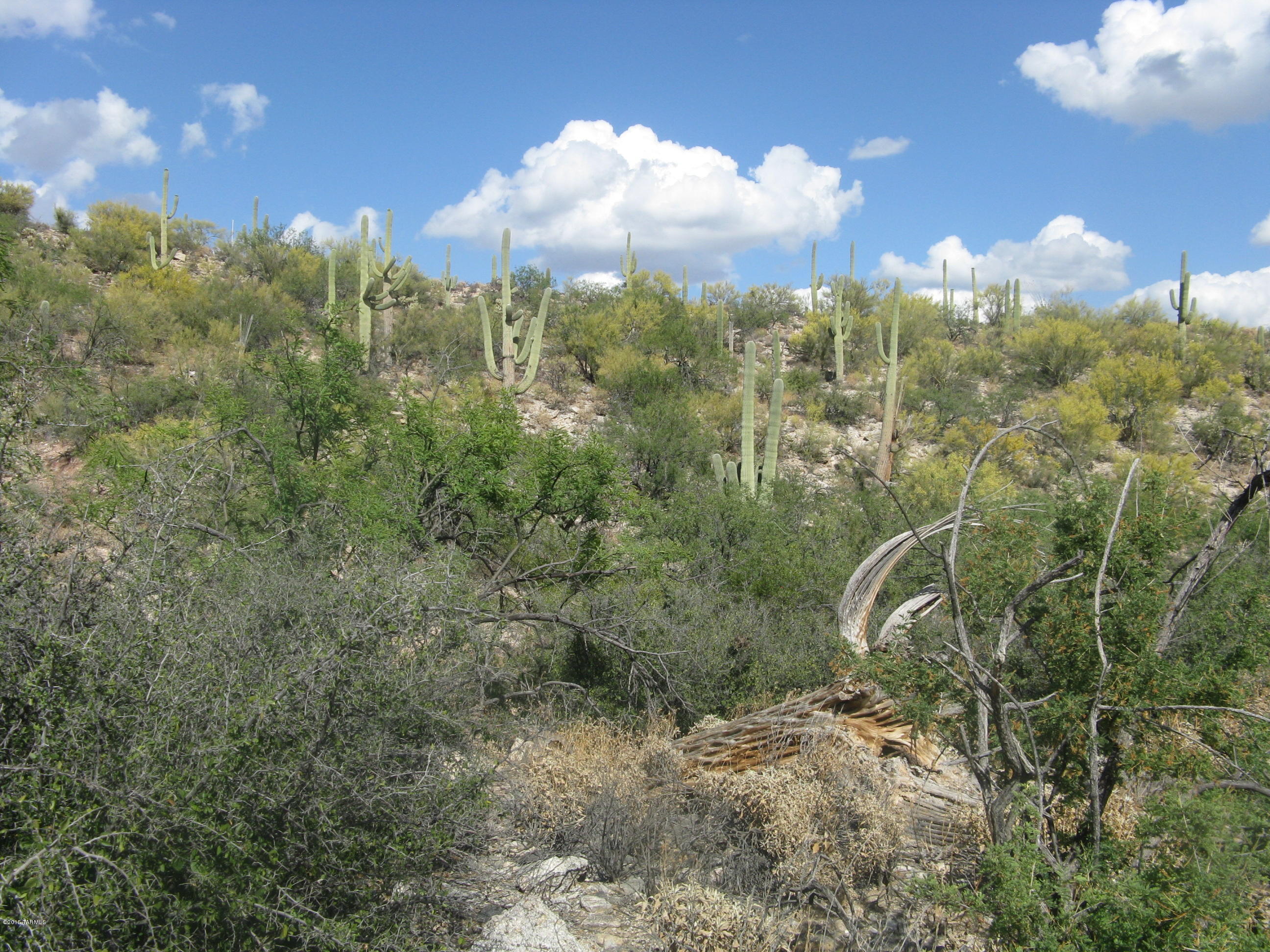 Fetzer Ranch (1-60) - Land