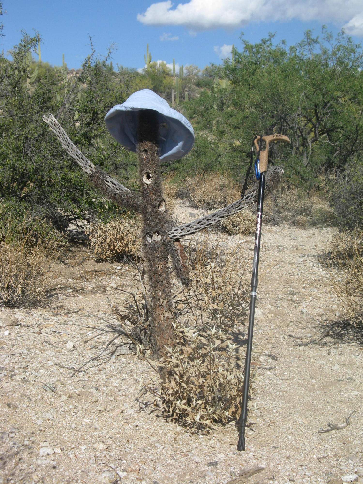 Fetzer Ranch (1-60) - Land