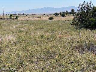 Papago Springs - Land