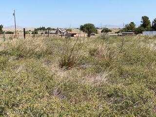 Papago Springs - Land