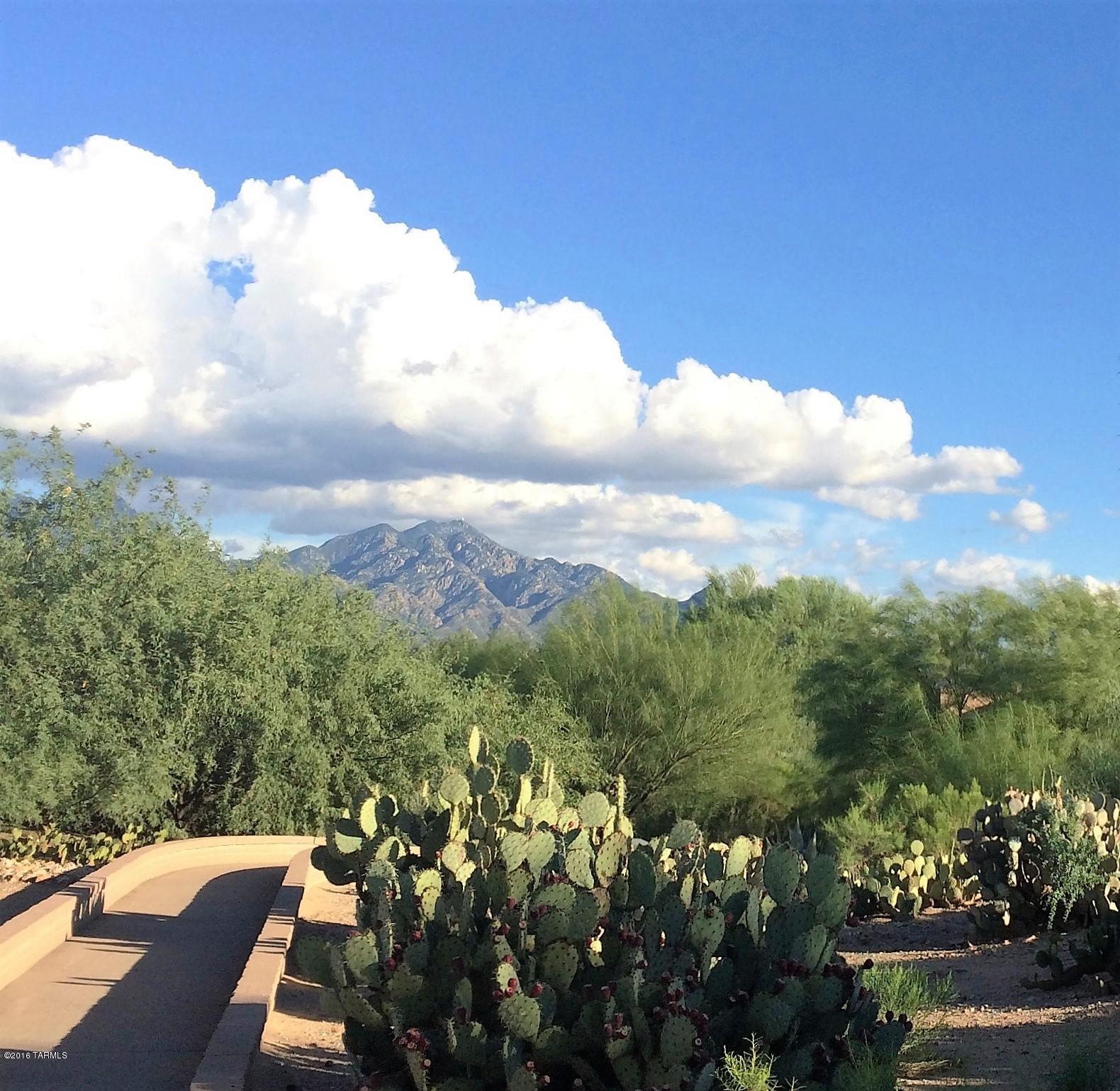 The Springs At Santa Rita(426-464) - Residential