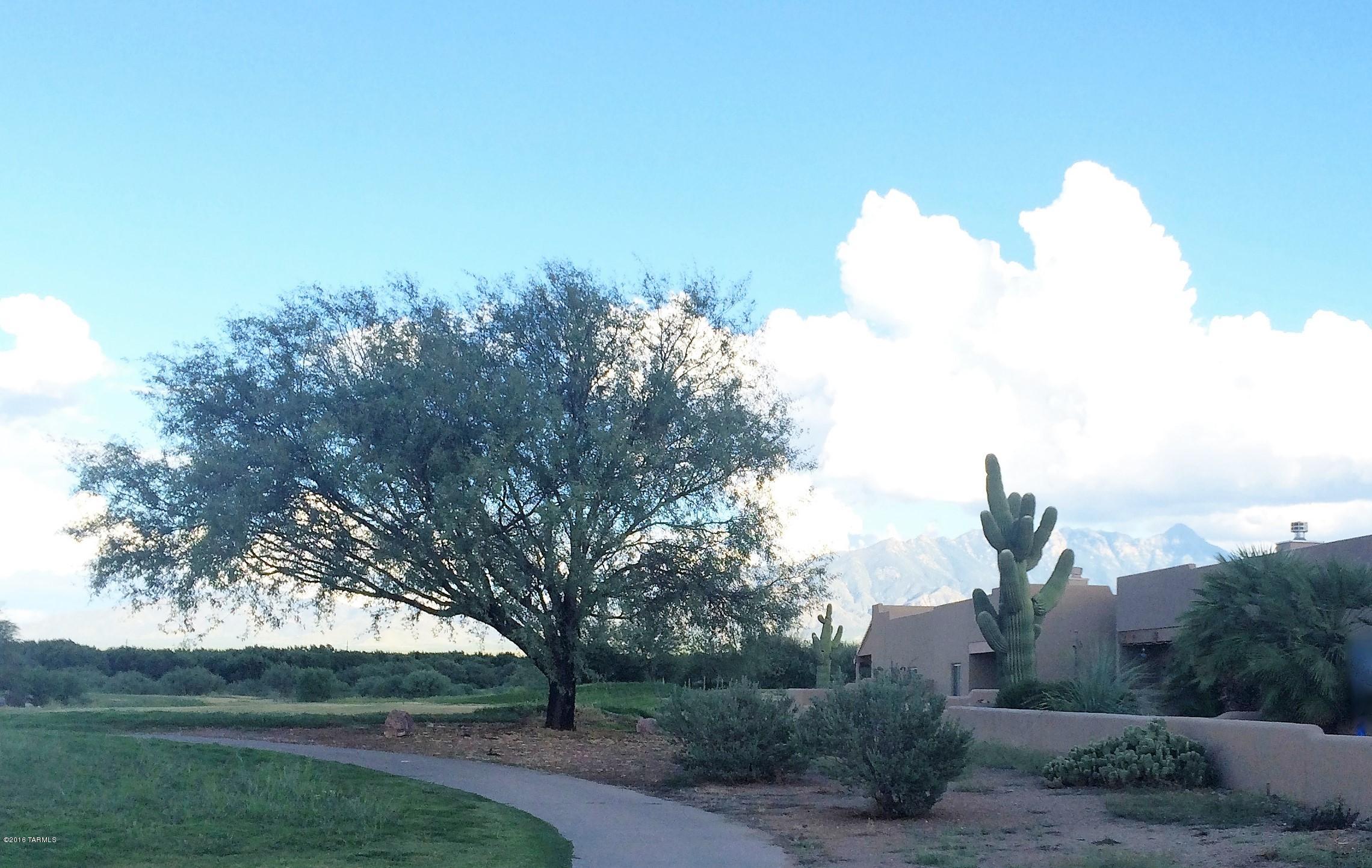 The Springs At Santa Rita(426-464) - Residential