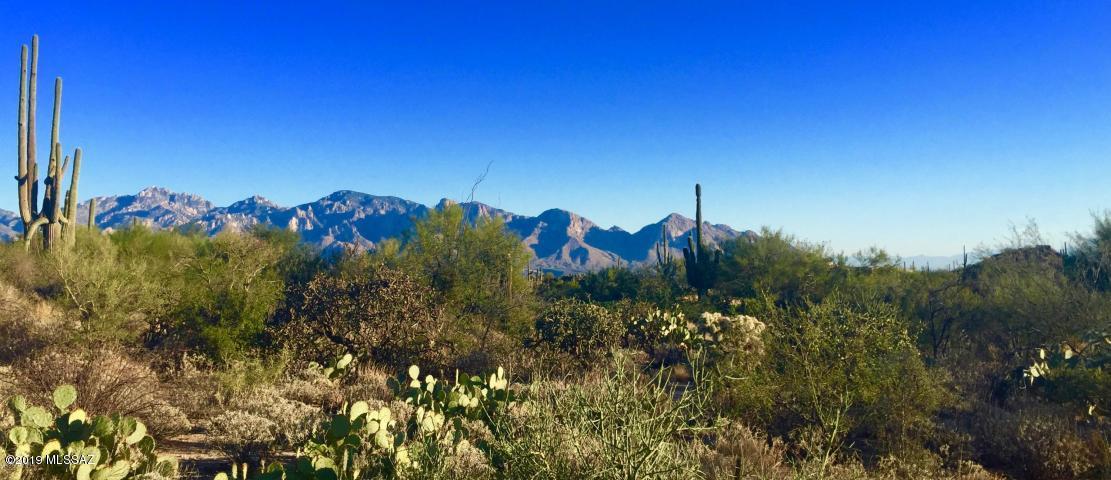 Breathtaking Golf Course lot right off the 15th fairway. Unobstructed Catalina Mountain views. Gorgeous Saguaros and rock out croppings.