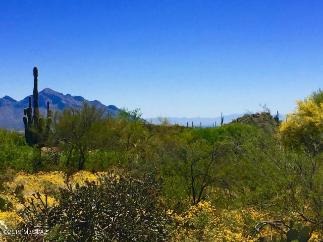 Stone Canyon II - Land