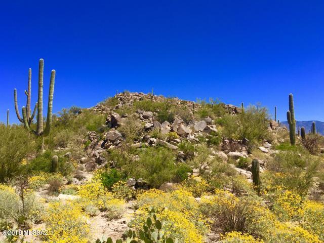 Stone Canyon II - Land
